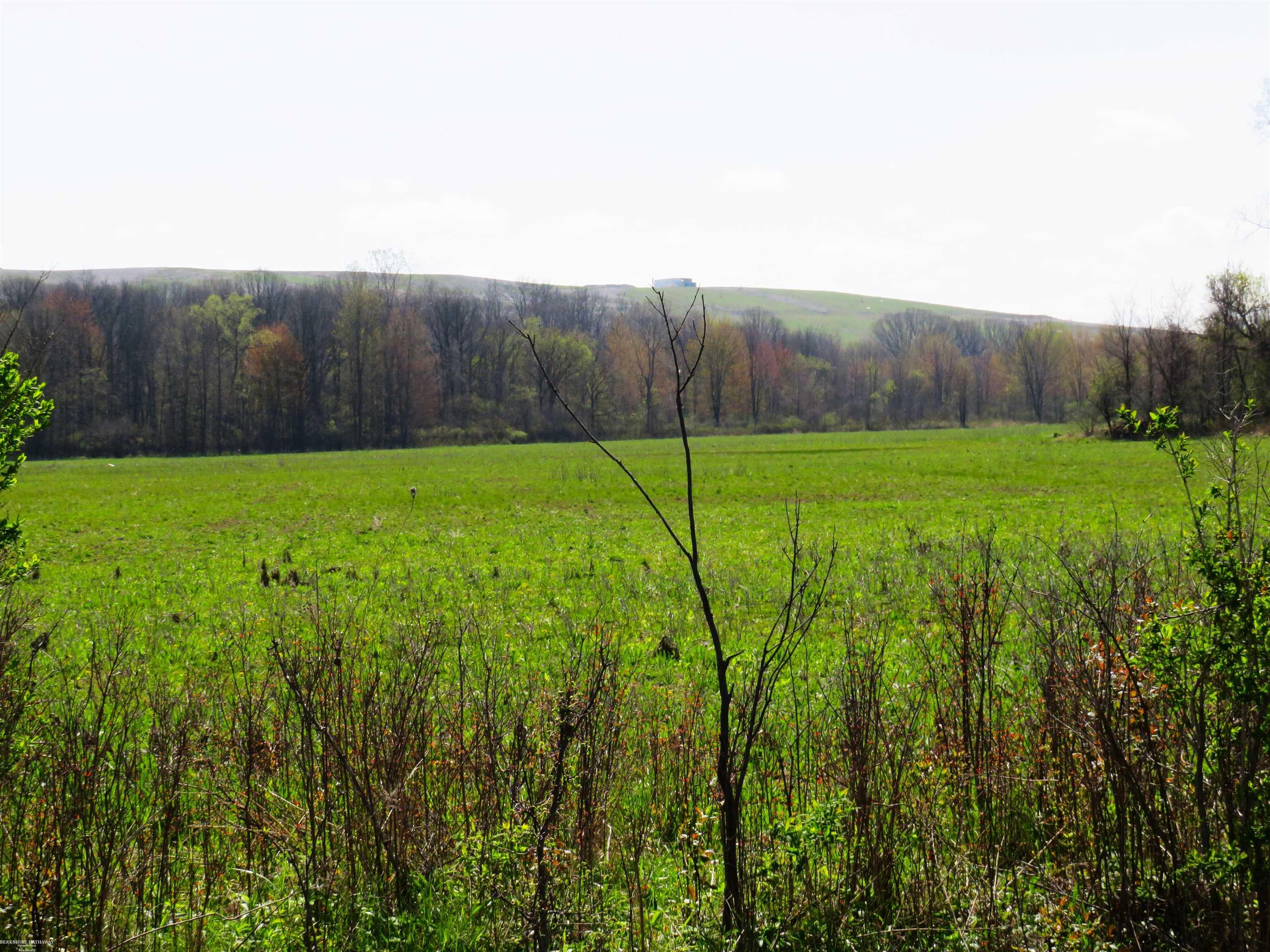 0 Gratiot Road Property Photo 2