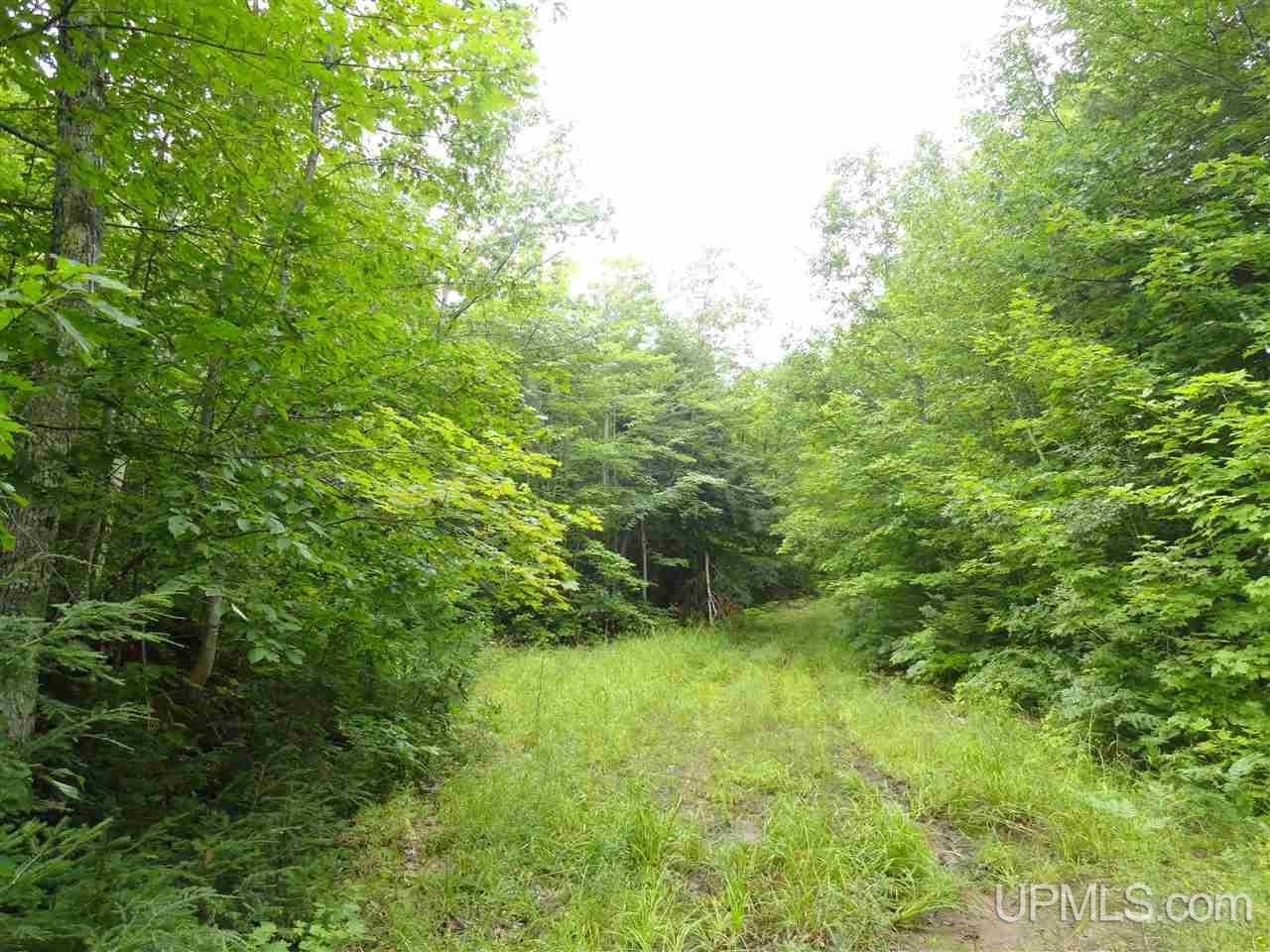320 Acre Off Co Rd 510 Road