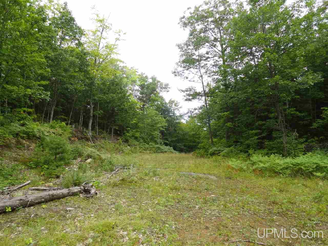 320 Acre Off Co Rd 510 Road Property Photo 2