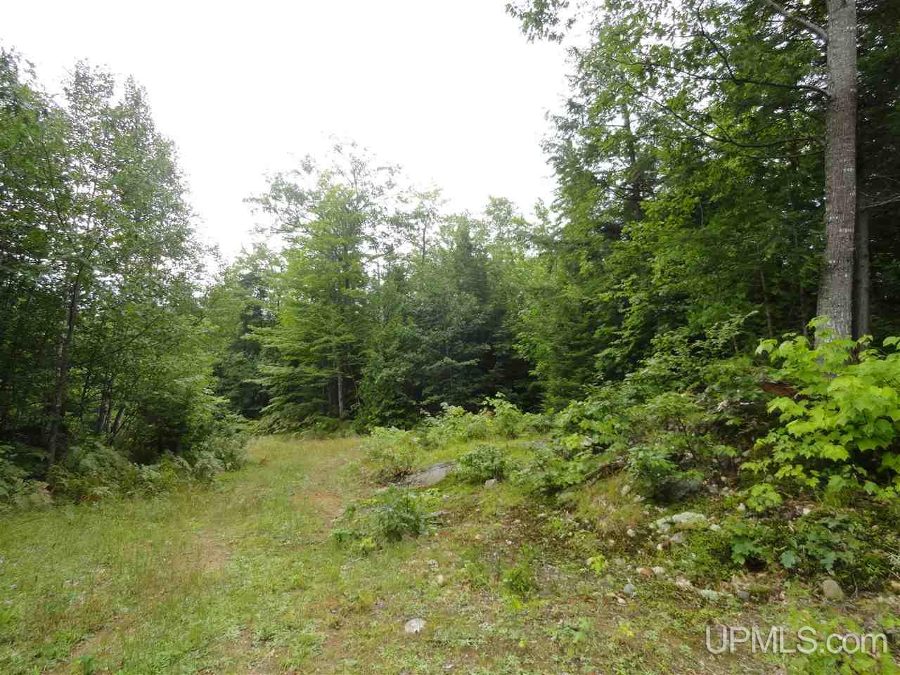 320 Acre Off Co Rd 510 Road Property Photo 3