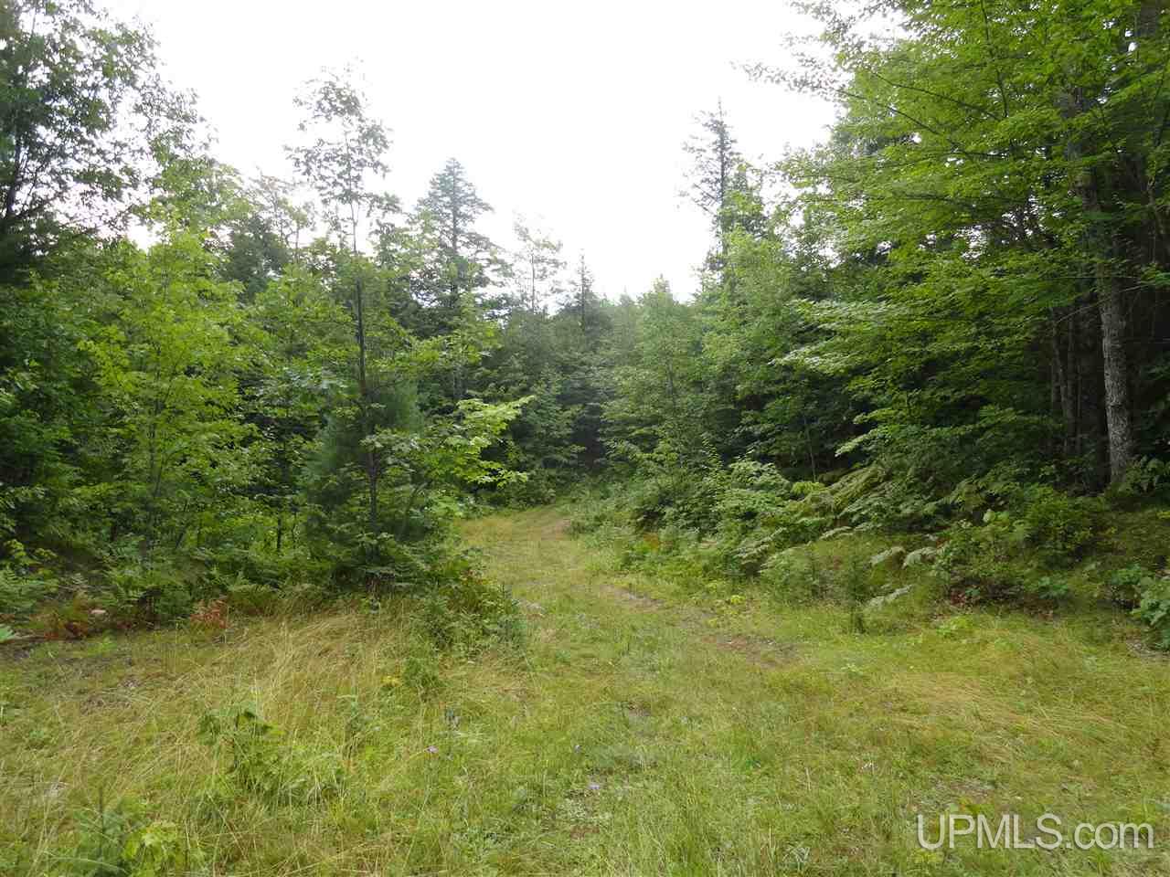 320 Acre Off Co Rd 510 Road Property Photo 4