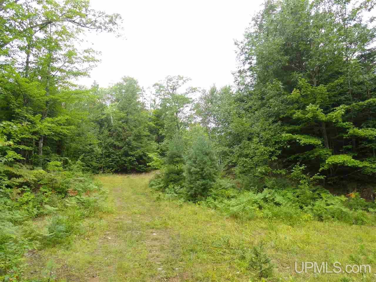 320 Acre Off Co Rd 510 Road Property Photo 5
