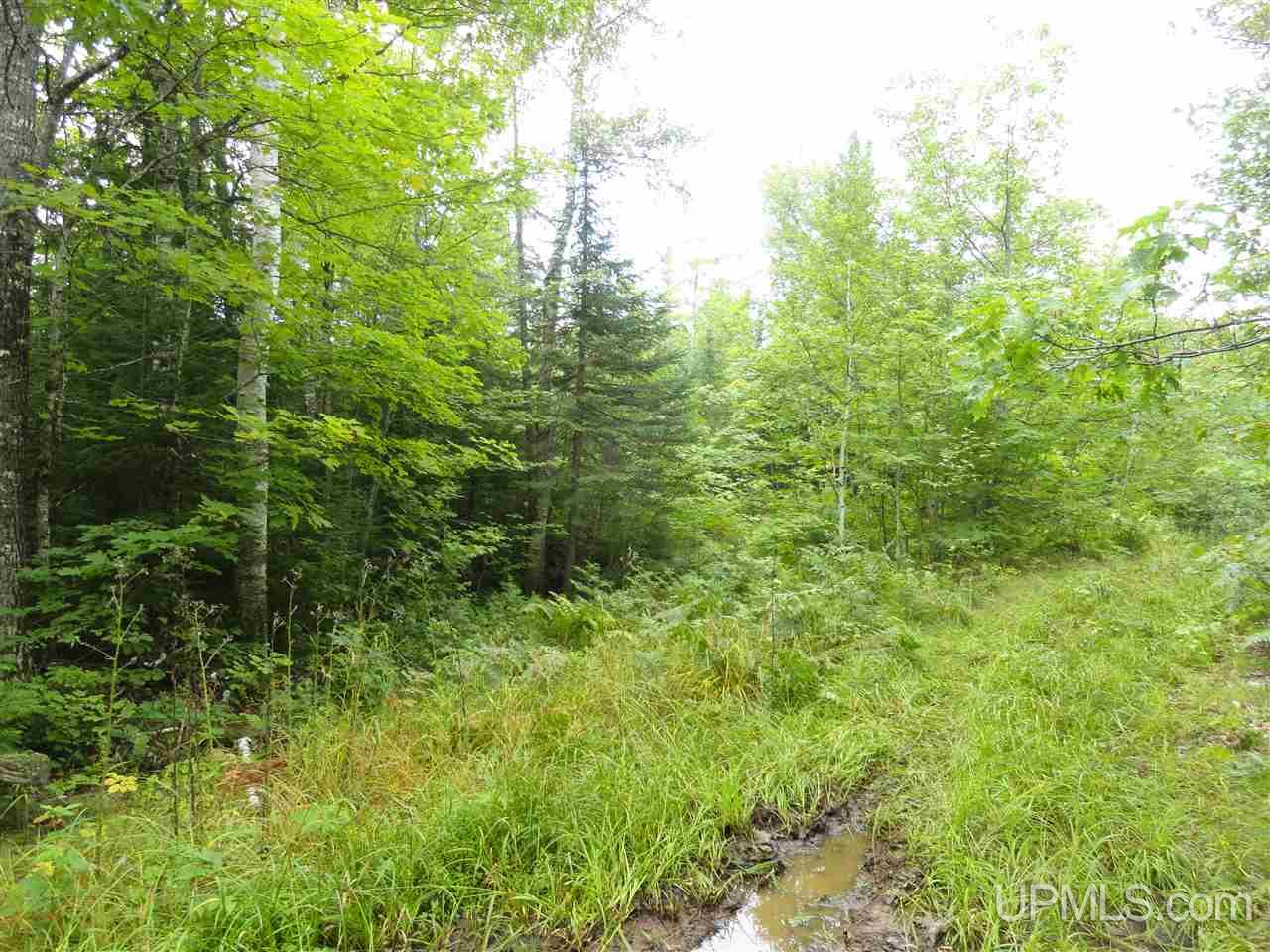 320 Acre Off Co Rd 510 Road Property Photo 6