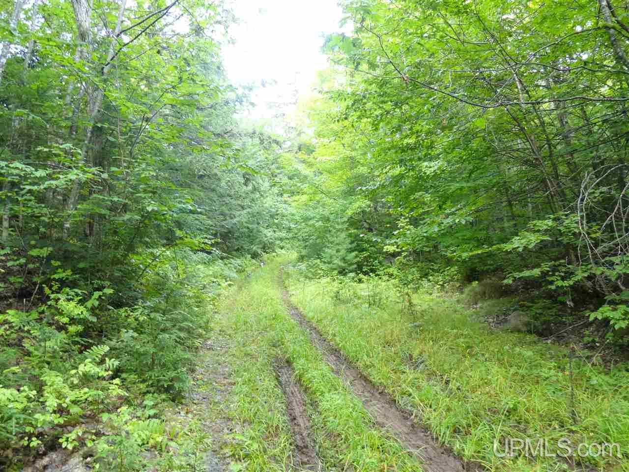 320 Acre Off Co Rd 510 Road Property Photo 7
