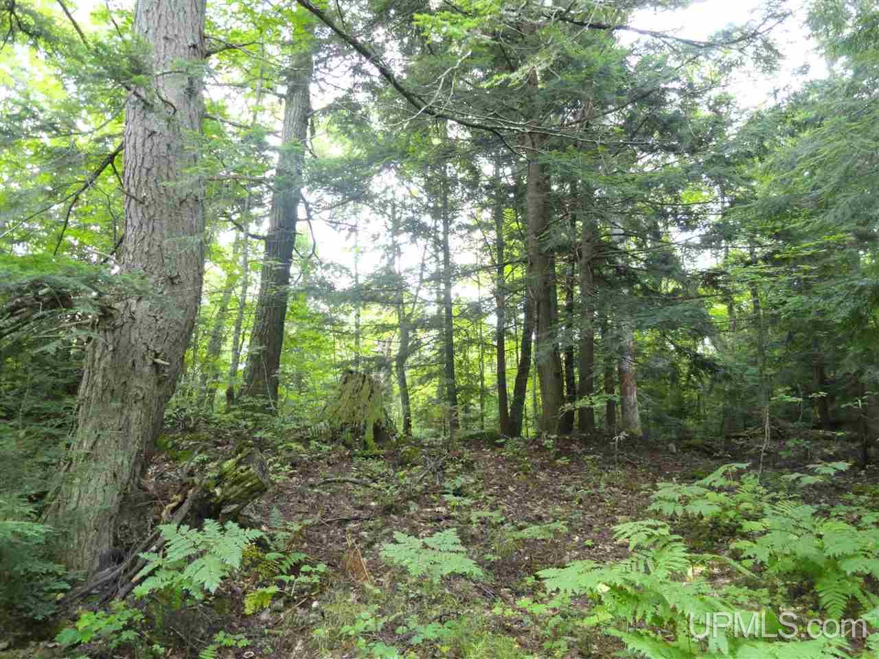 320 Acre Off Co Rd 510 Road Property Photo 8