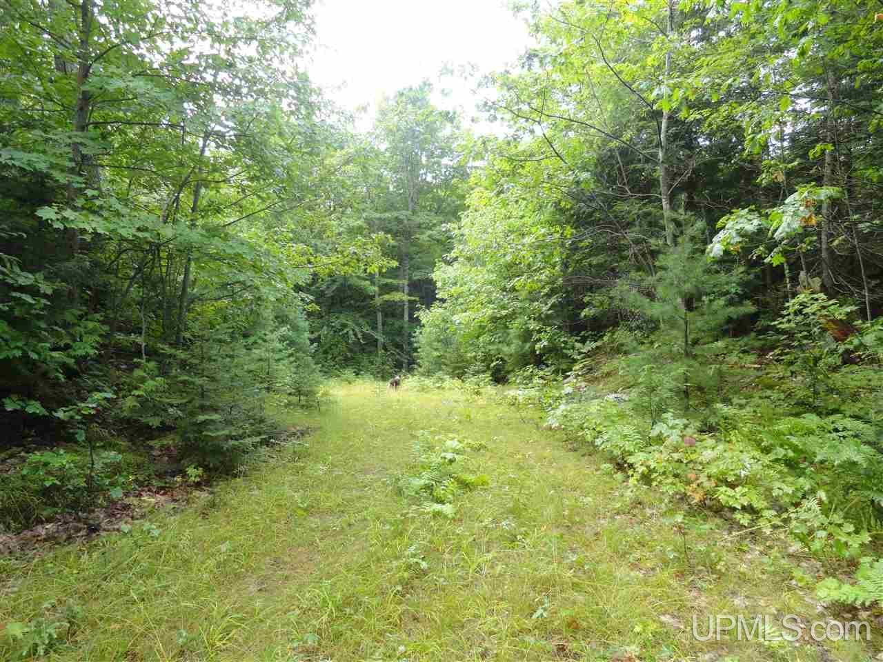 320 Acre Off Co Rd 510 Road Property Photo 9