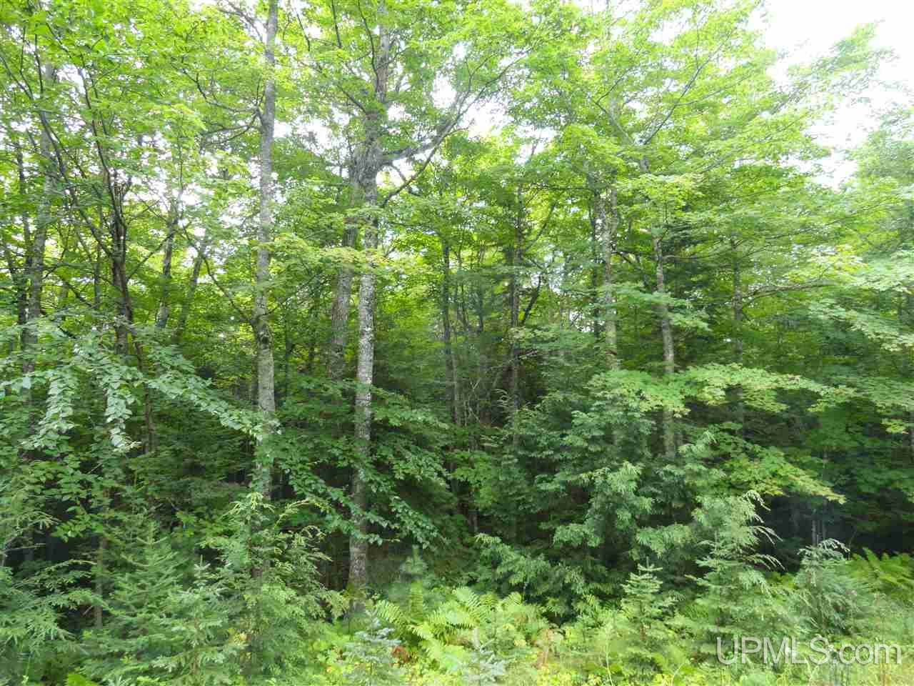 320 Acre Off Co Rd 510 Road Property Photo 10