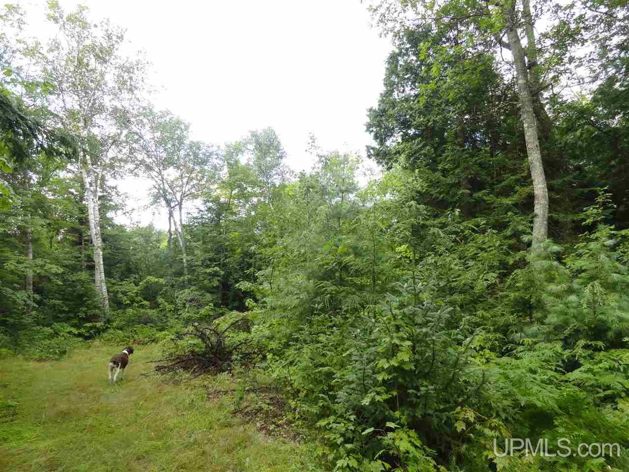 320 Acre Off Co Rd 510 Road Property Photo 11