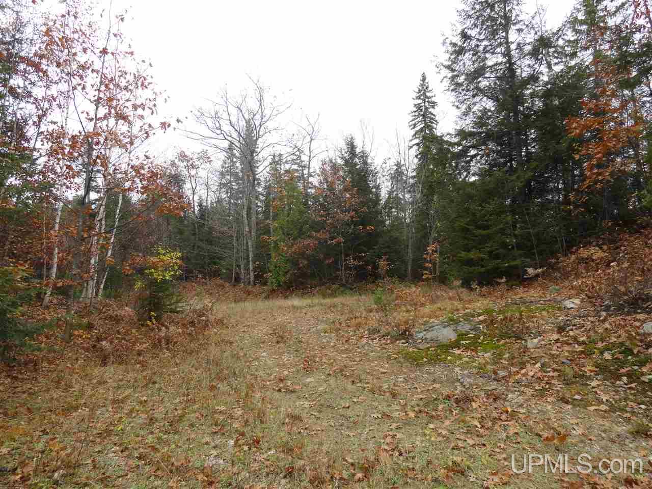 320 Acre Off Co Rd 510 Road Property Photo 12