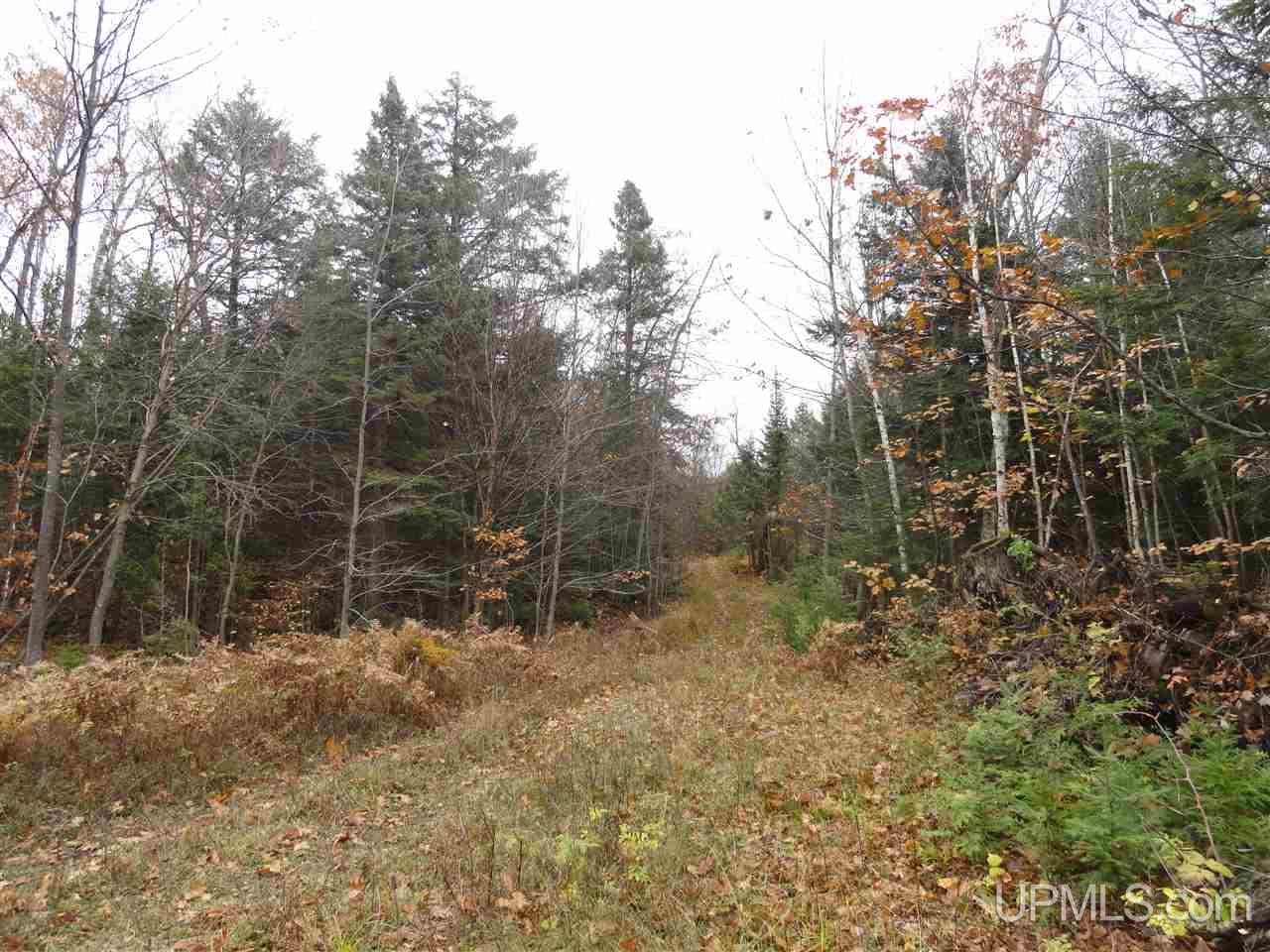 320 Acre Off Co Rd 510 Road Property Photo 13