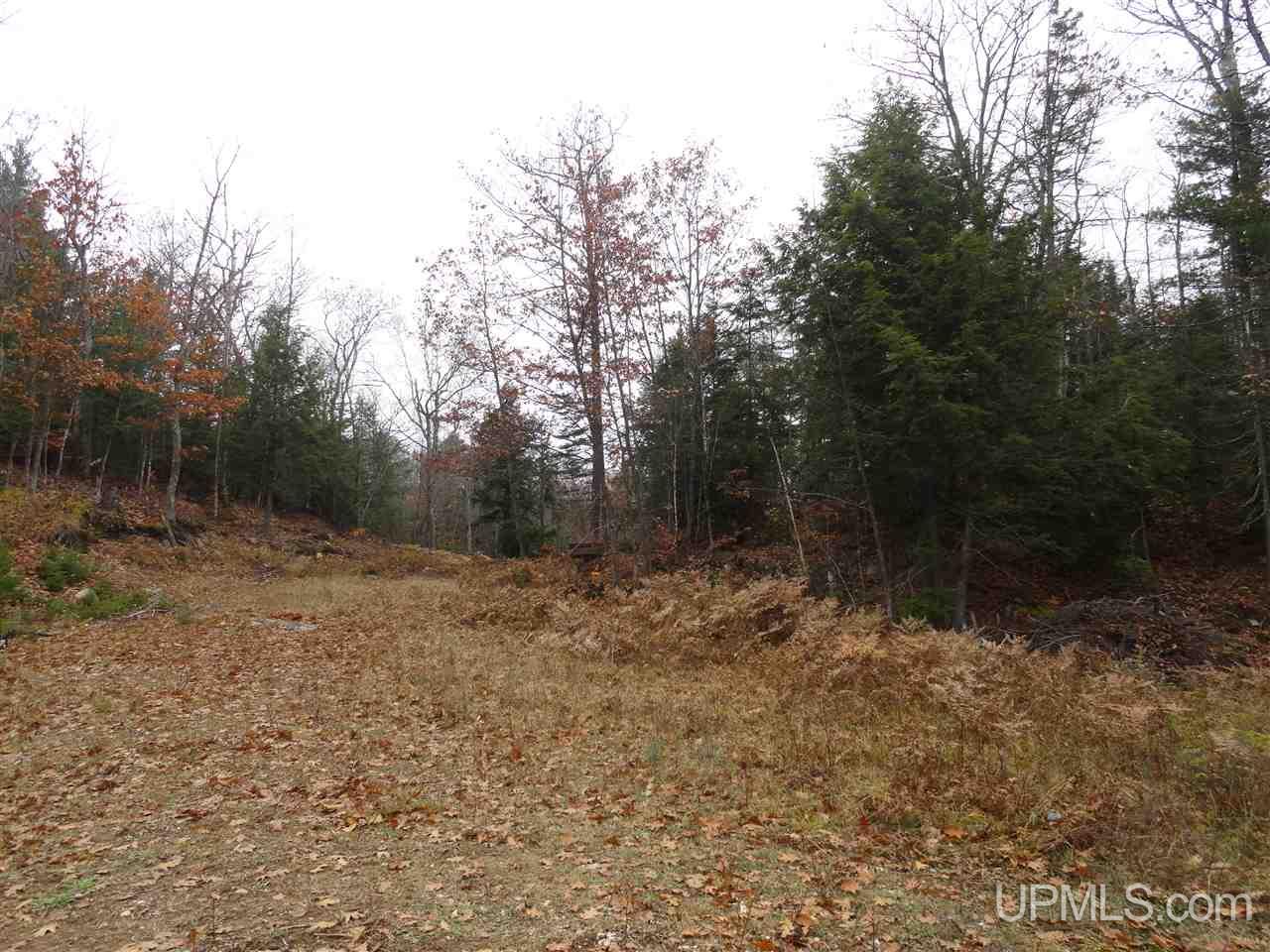320 Acre Off Co Rd 510 Road Property Photo 14