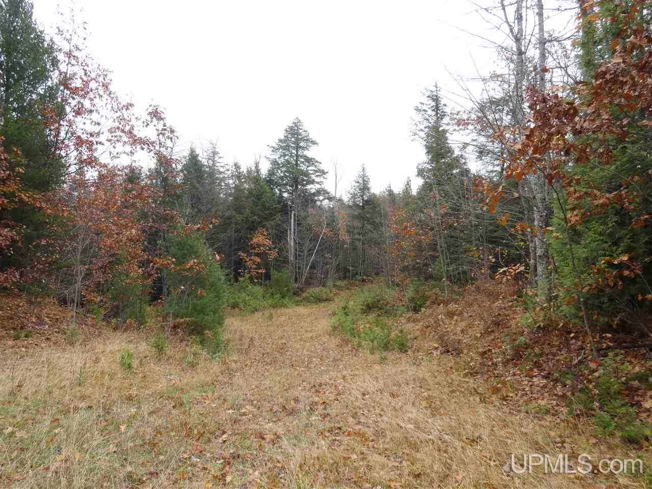 320 Acre Off Co Rd 510 Road Property Photo 15