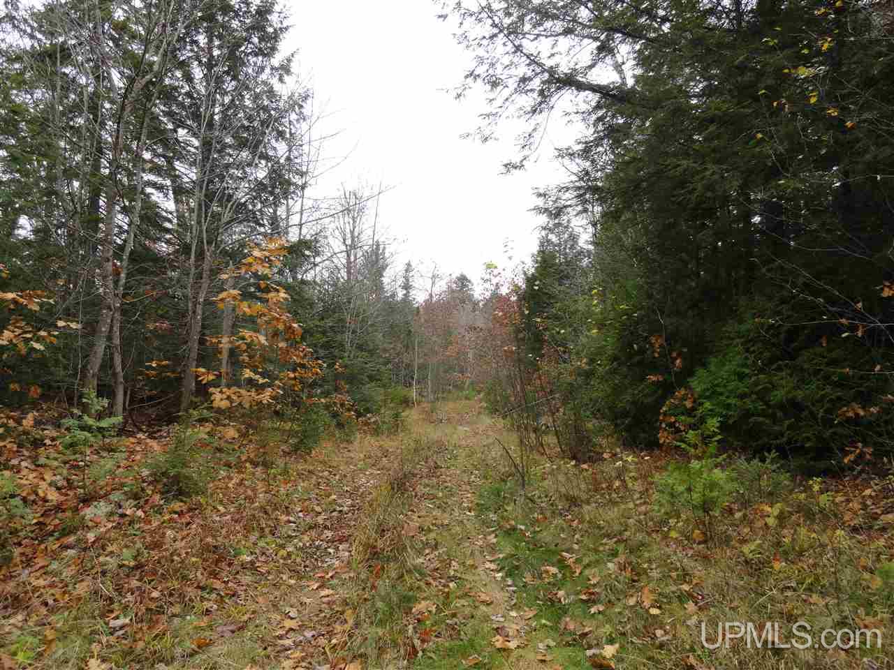 320 Acre Off Co Rd 510 Road Property Photo 16