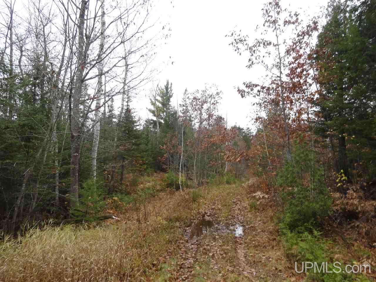 320 Acre Off Co Rd 510 Road Property Photo 17