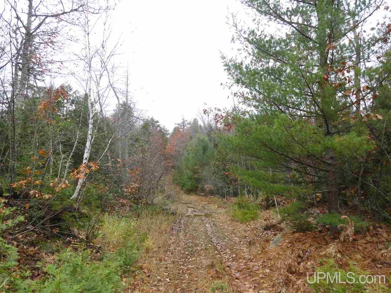 320 Acre Off Co Rd 510 Road Property Photo 18