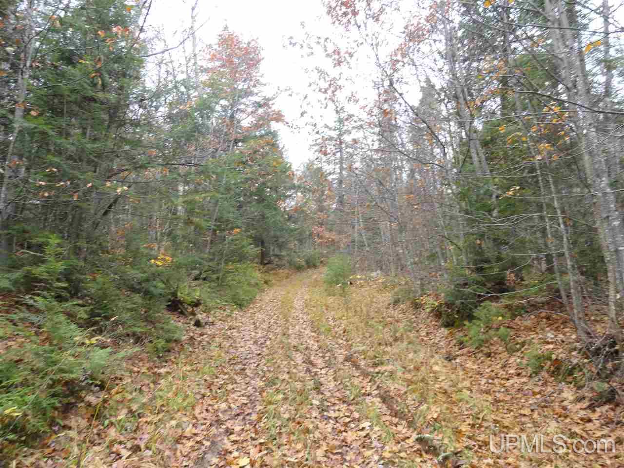 320 Acre Off Co Rd 510 Road Property Photo 19