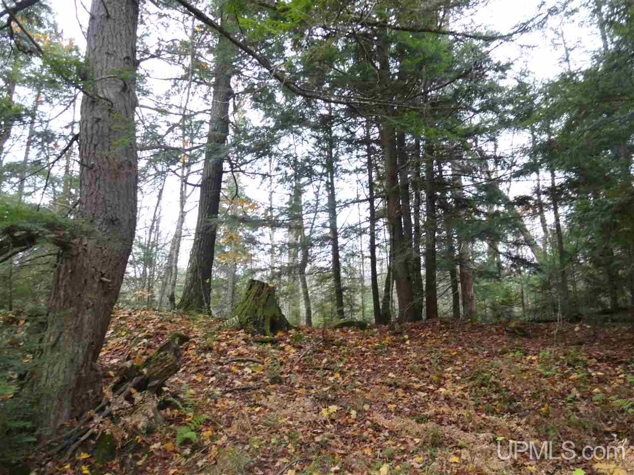 320 Acre Off Co Rd 510 Road Property Photo 20