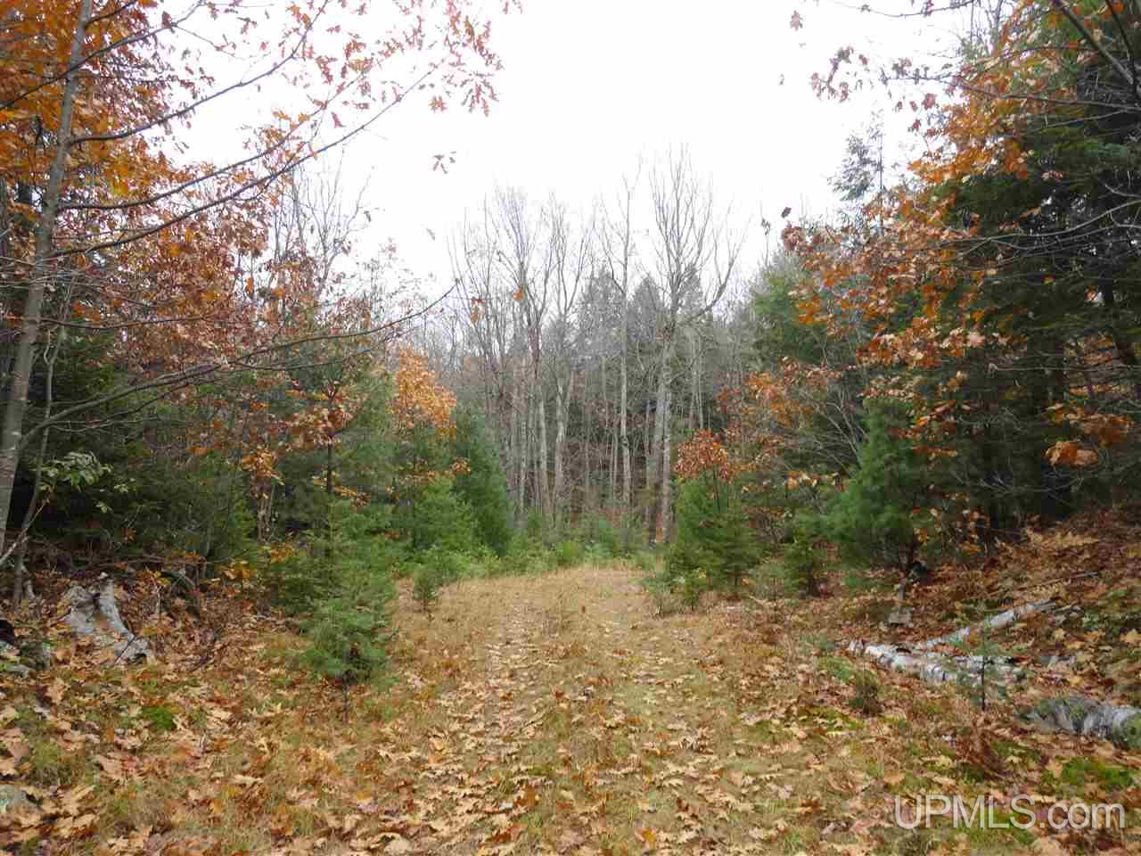 320 Acre Off Co Rd 510 Road Property Photo 21