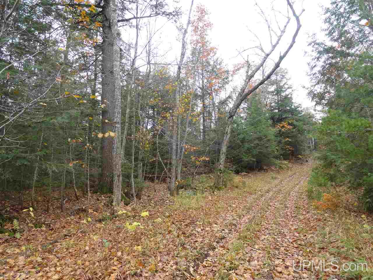 320 Acre Off Co Rd 510 Road Property Photo 22