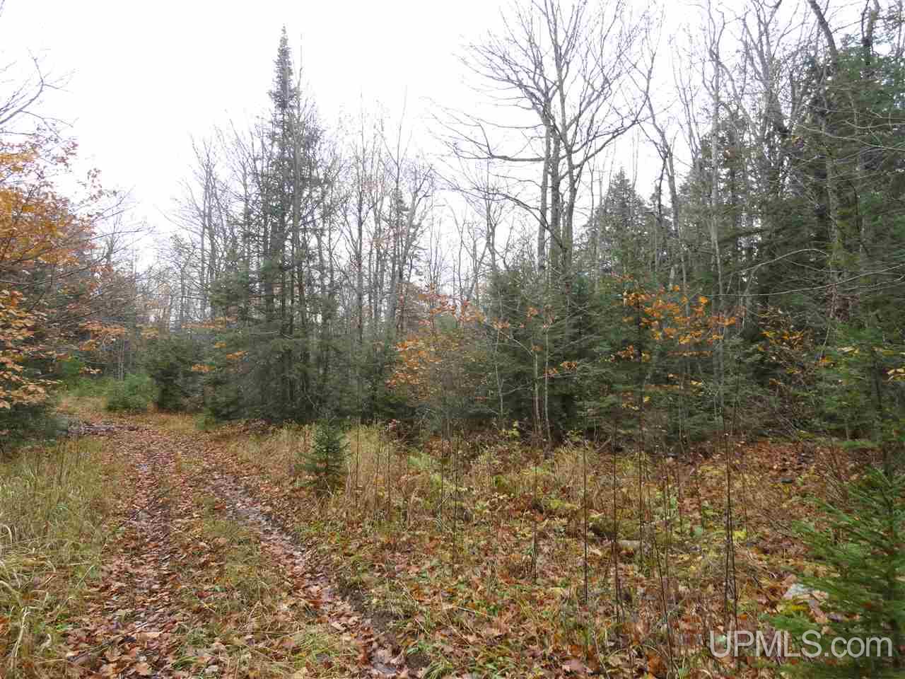320 Acre Off Co Rd 510 Road Property Photo 23