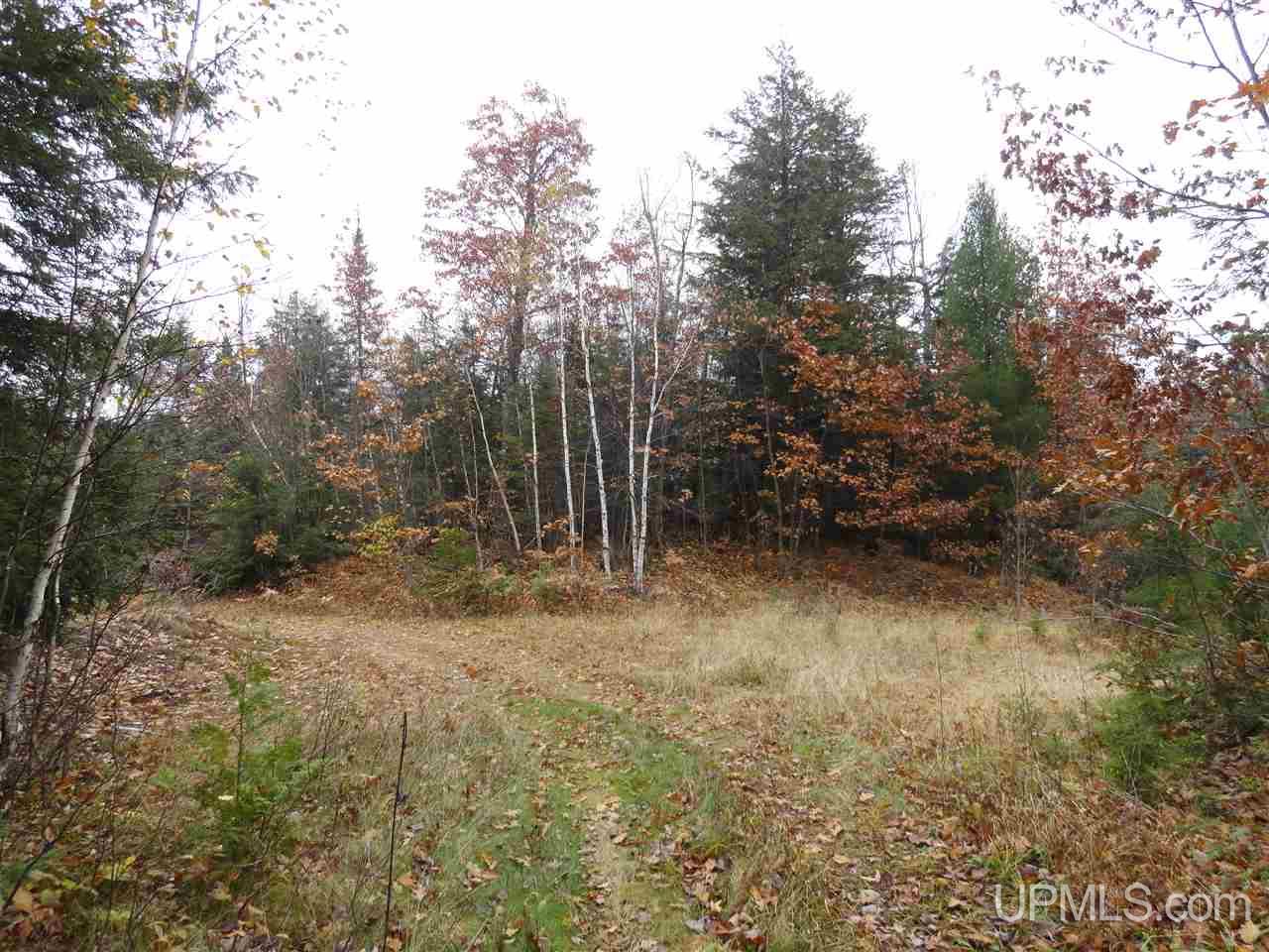 320 Acre Off Co Rd 510 Road Property Photo 24