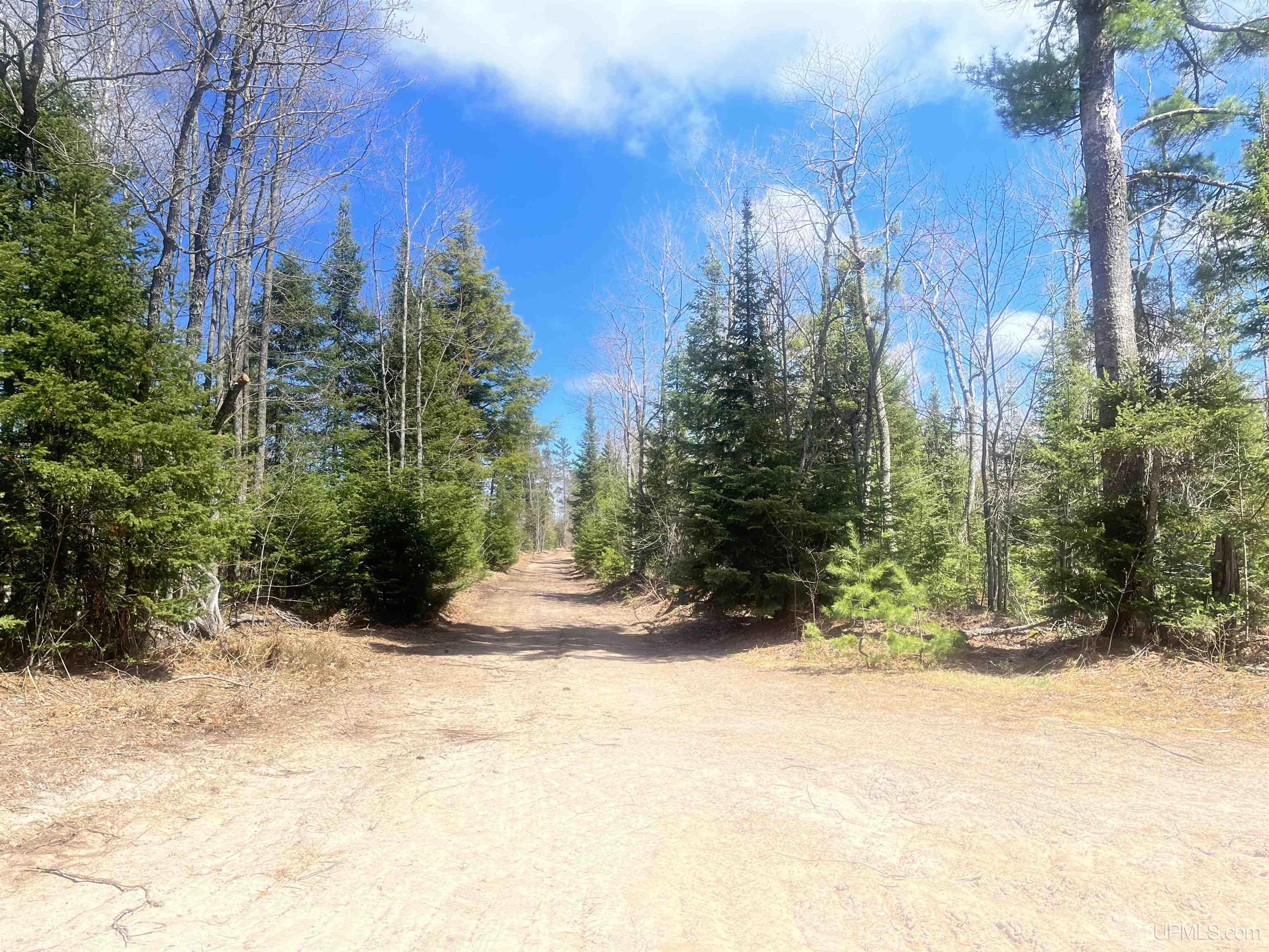 440 Acres Off Cr Aaa Road Property Photo 1