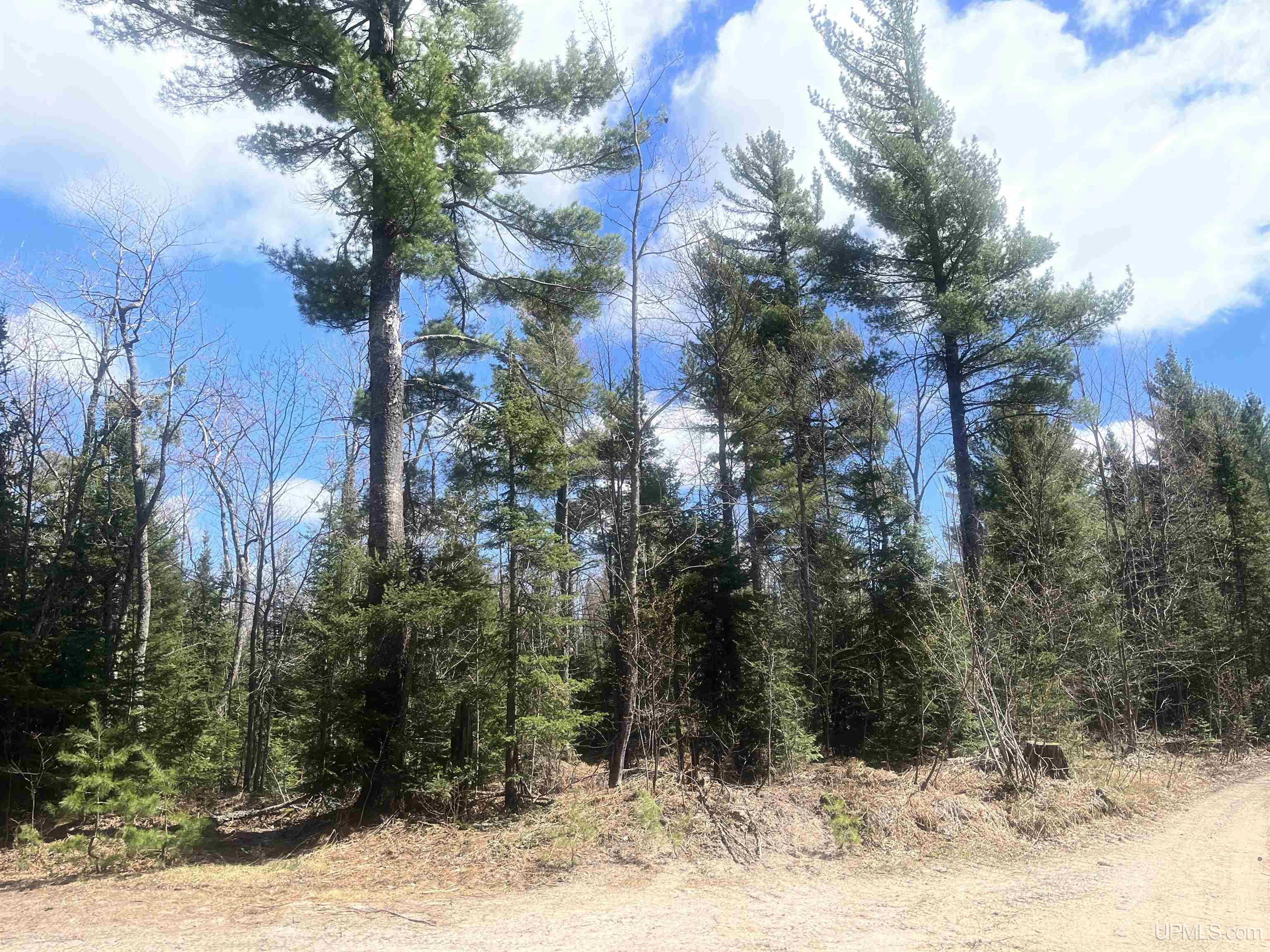 440 Acres Off Cr Aaa Road Property Photo 2