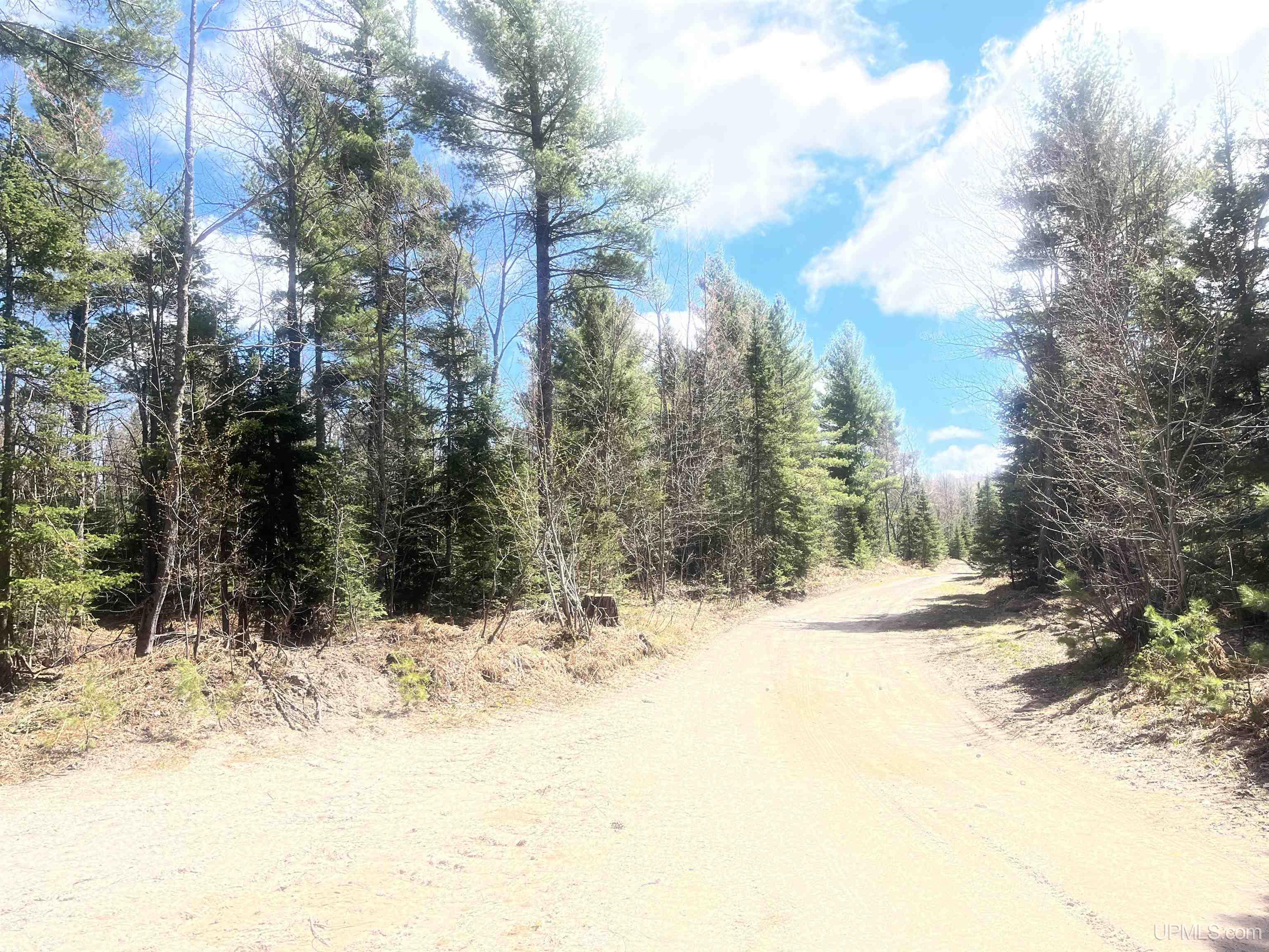 440 Acres Off Cr Aaa Road Property Photo 3