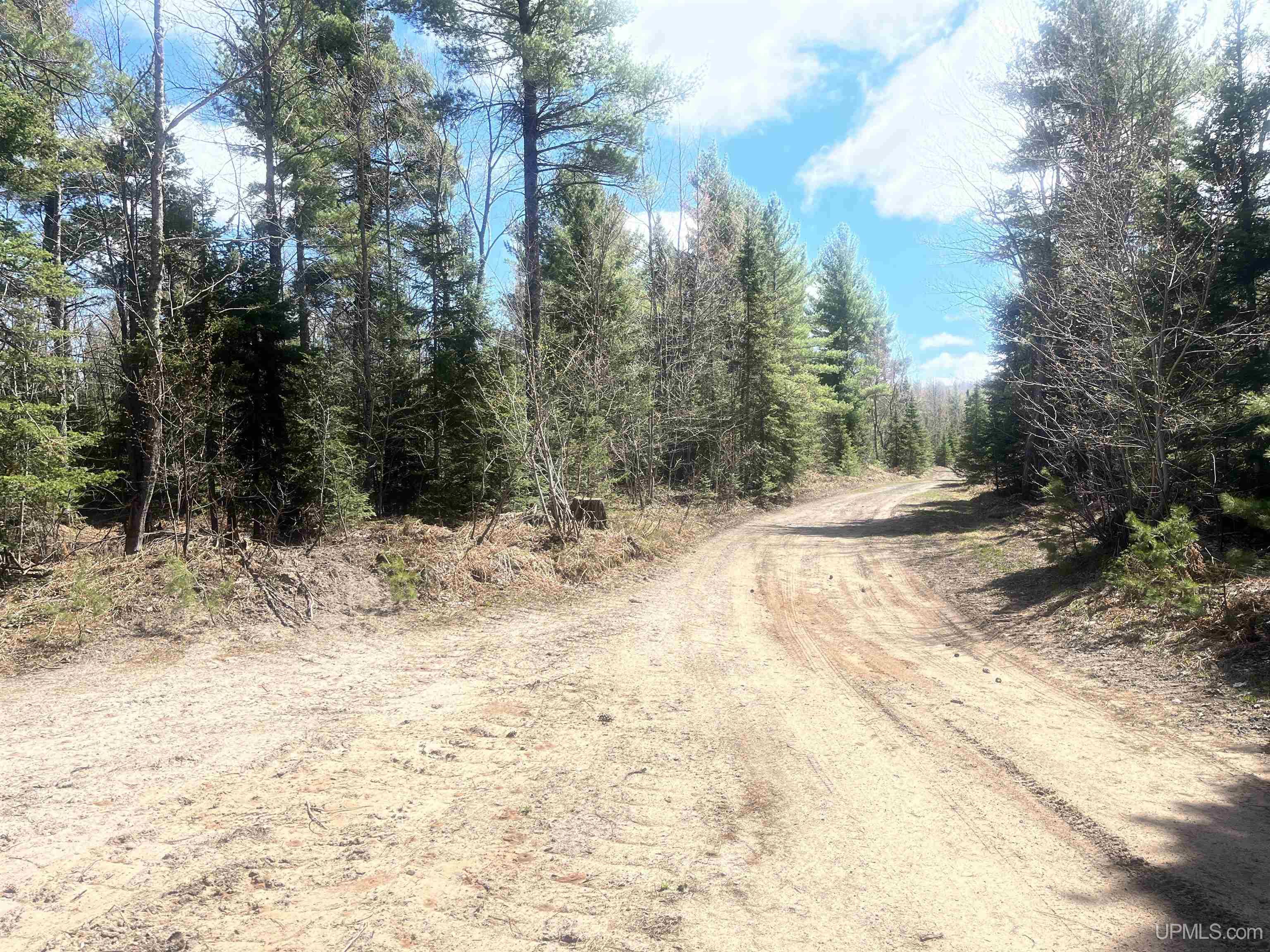 440 Acres Off Cr Aaa Road Property Photo 4