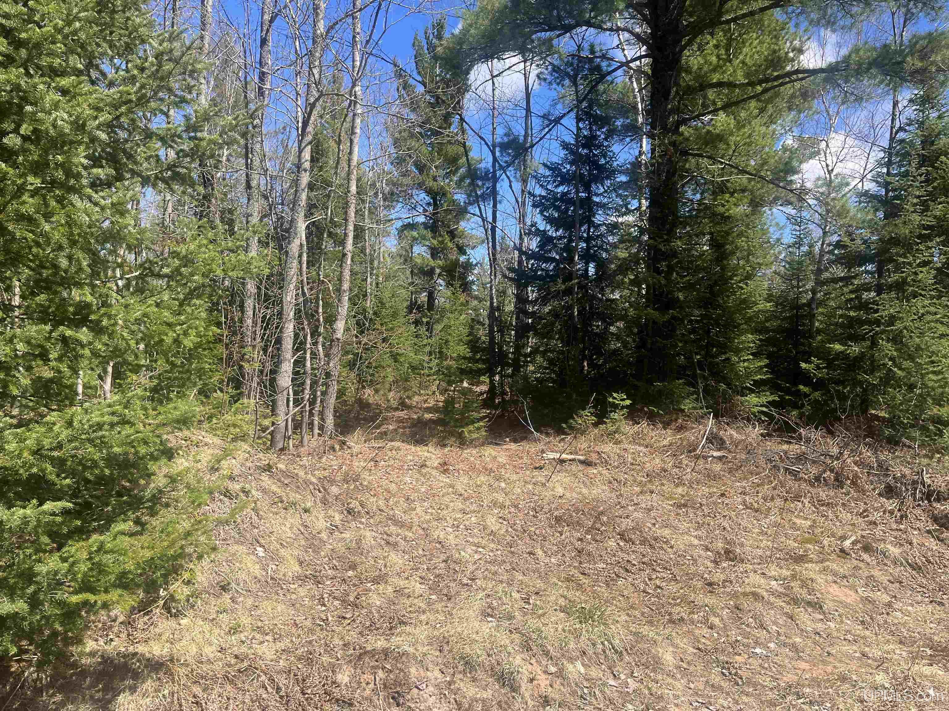 440 Acres Off Cr Aaa Road Property Photo 5