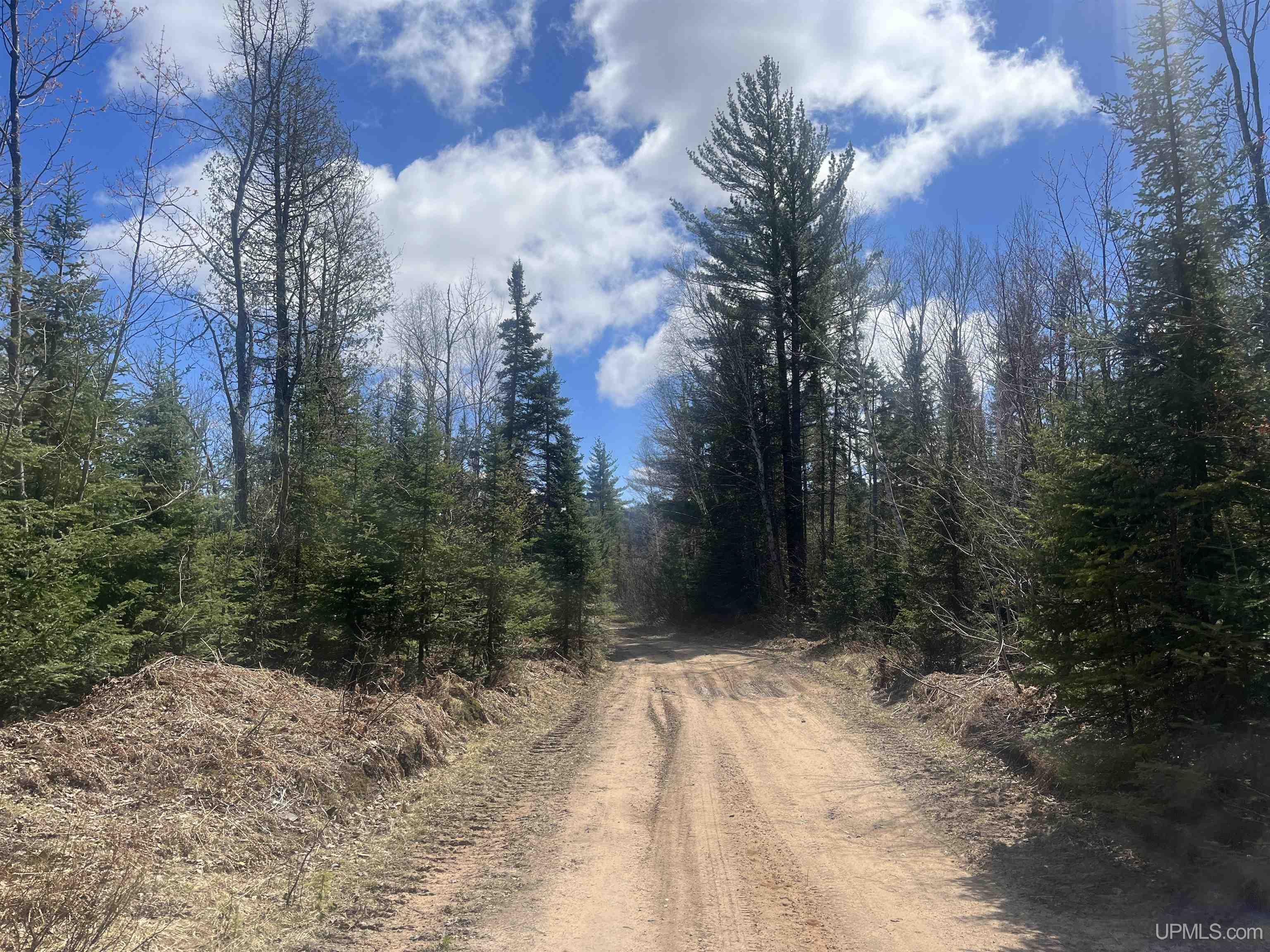 440 Acres Off Cr Aaa Road Property Photo 6