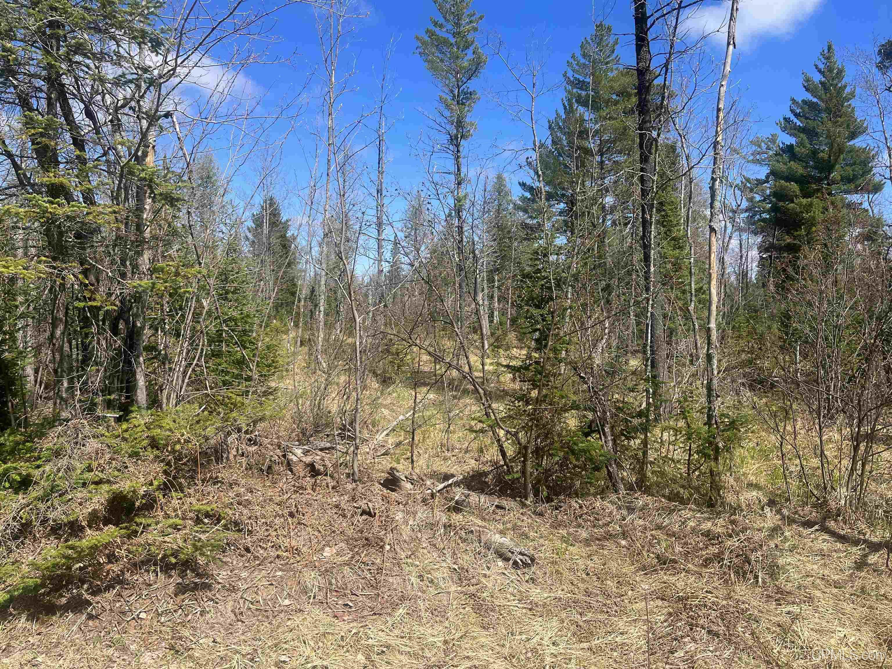 440 Acres Off Cr Aaa Road Property Photo 7