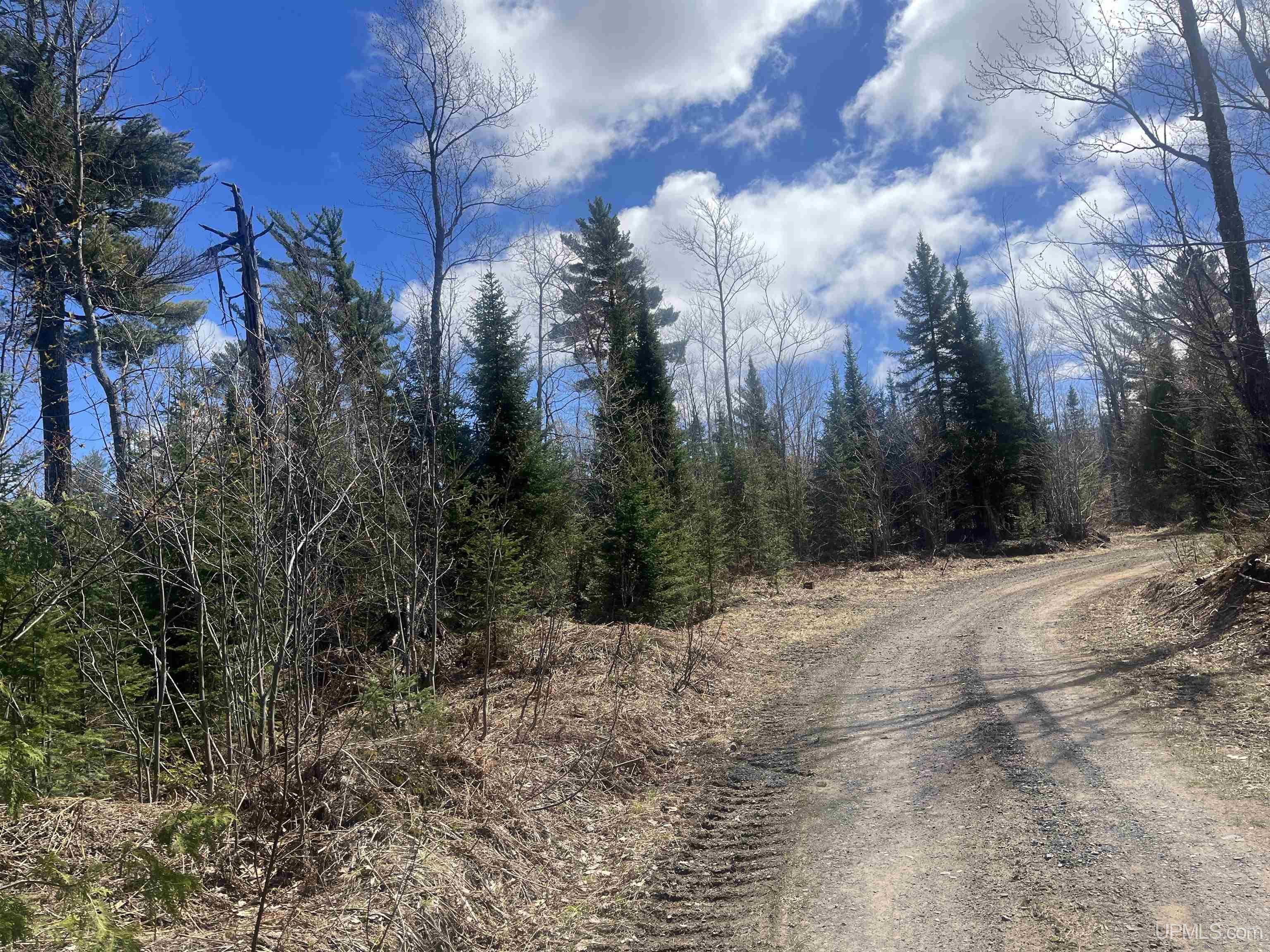 440 Acres Off Cr Aaa Road Property Photo 8
