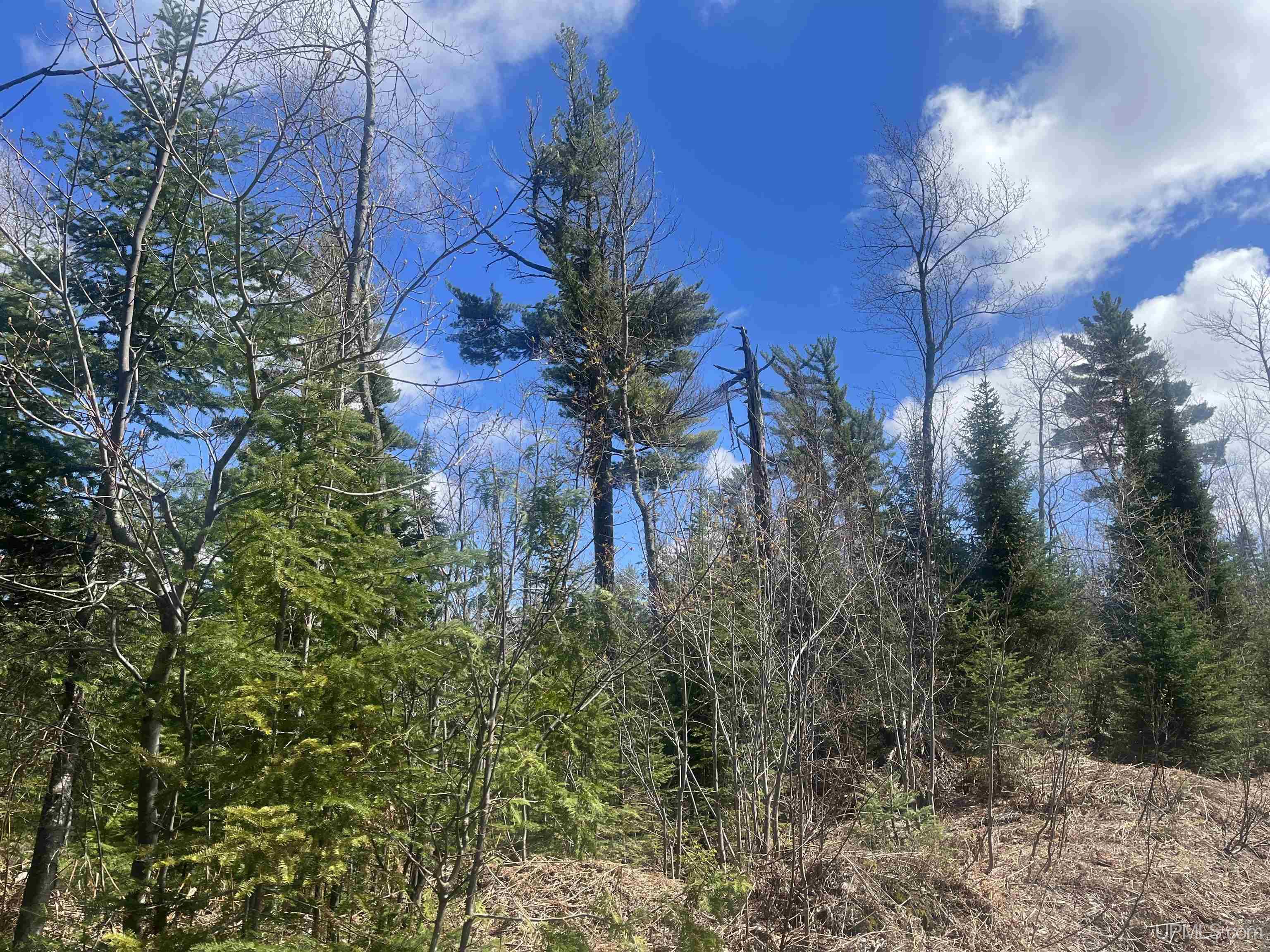 440 Acres Off Cr Aaa Road Property Photo 9