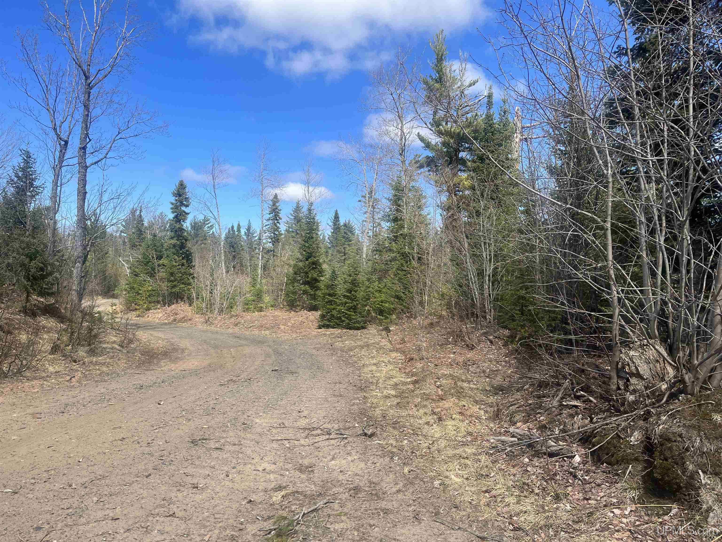 440 Acres Off Cr Aaa Road Property Photo 10