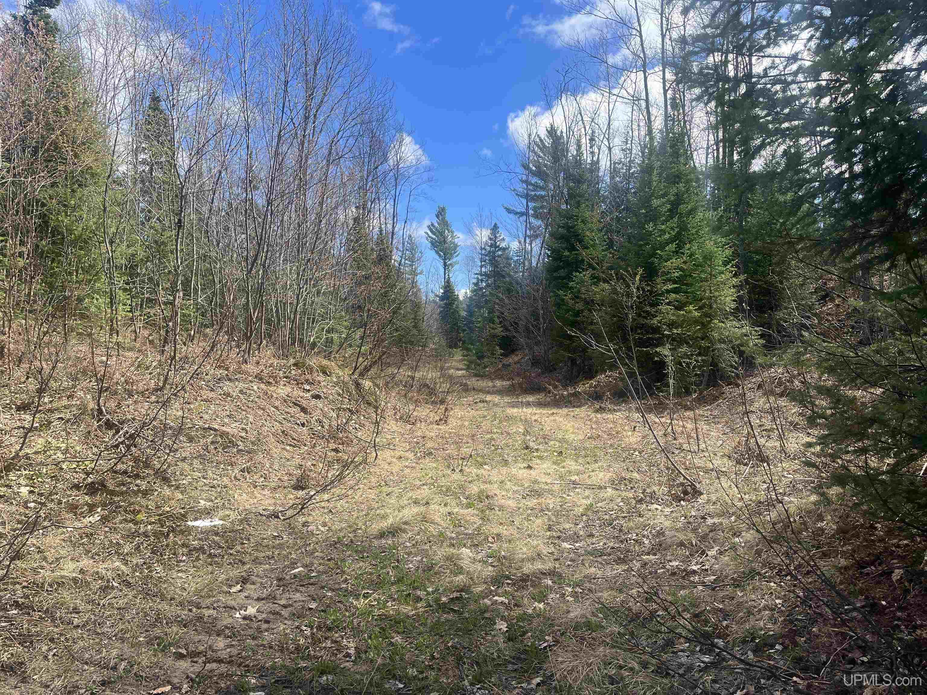 440 Acres Off Cr Aaa Road Property Photo 11