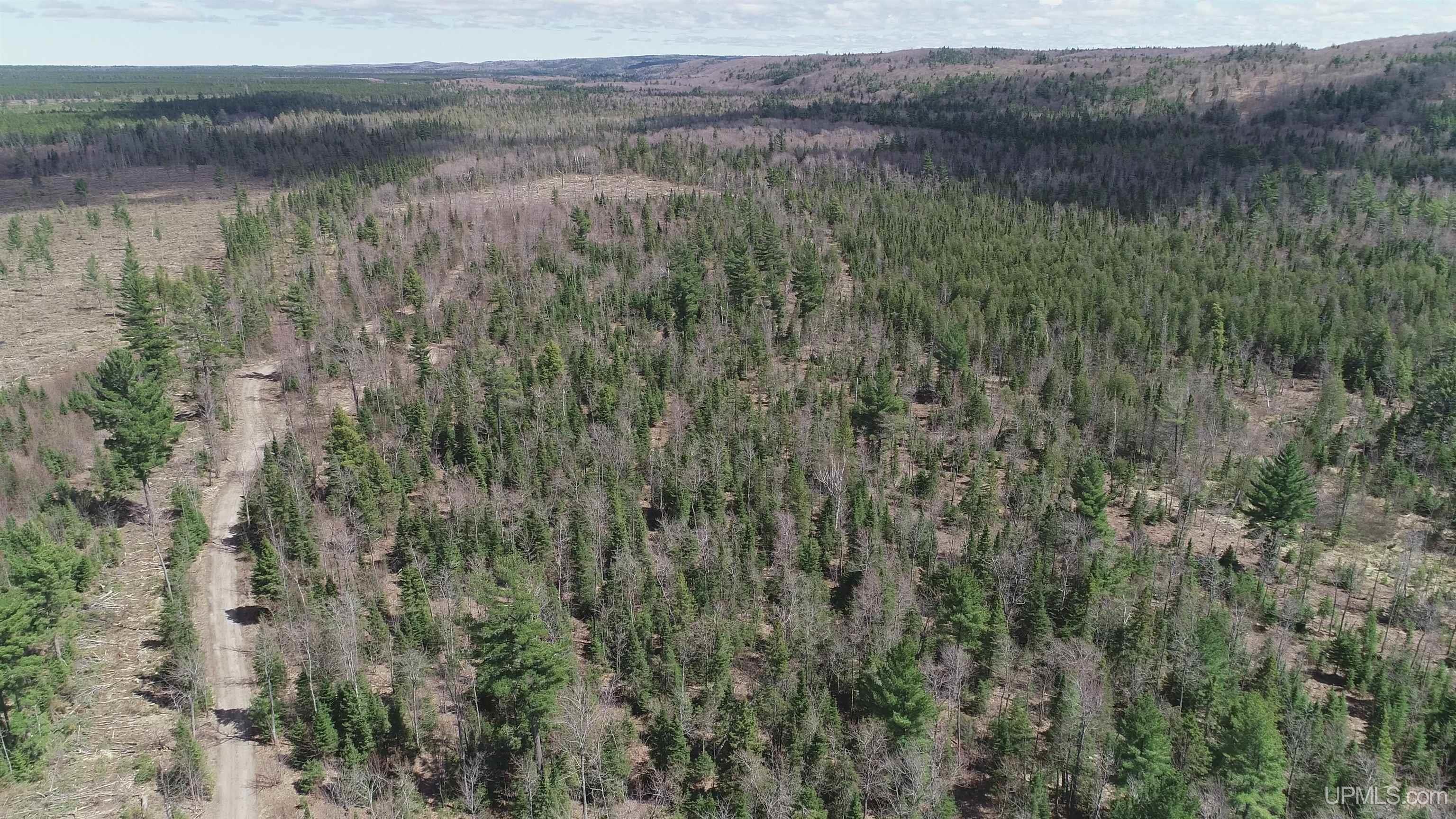 440 Acres Off Cr Aaa Road Property Photo 12