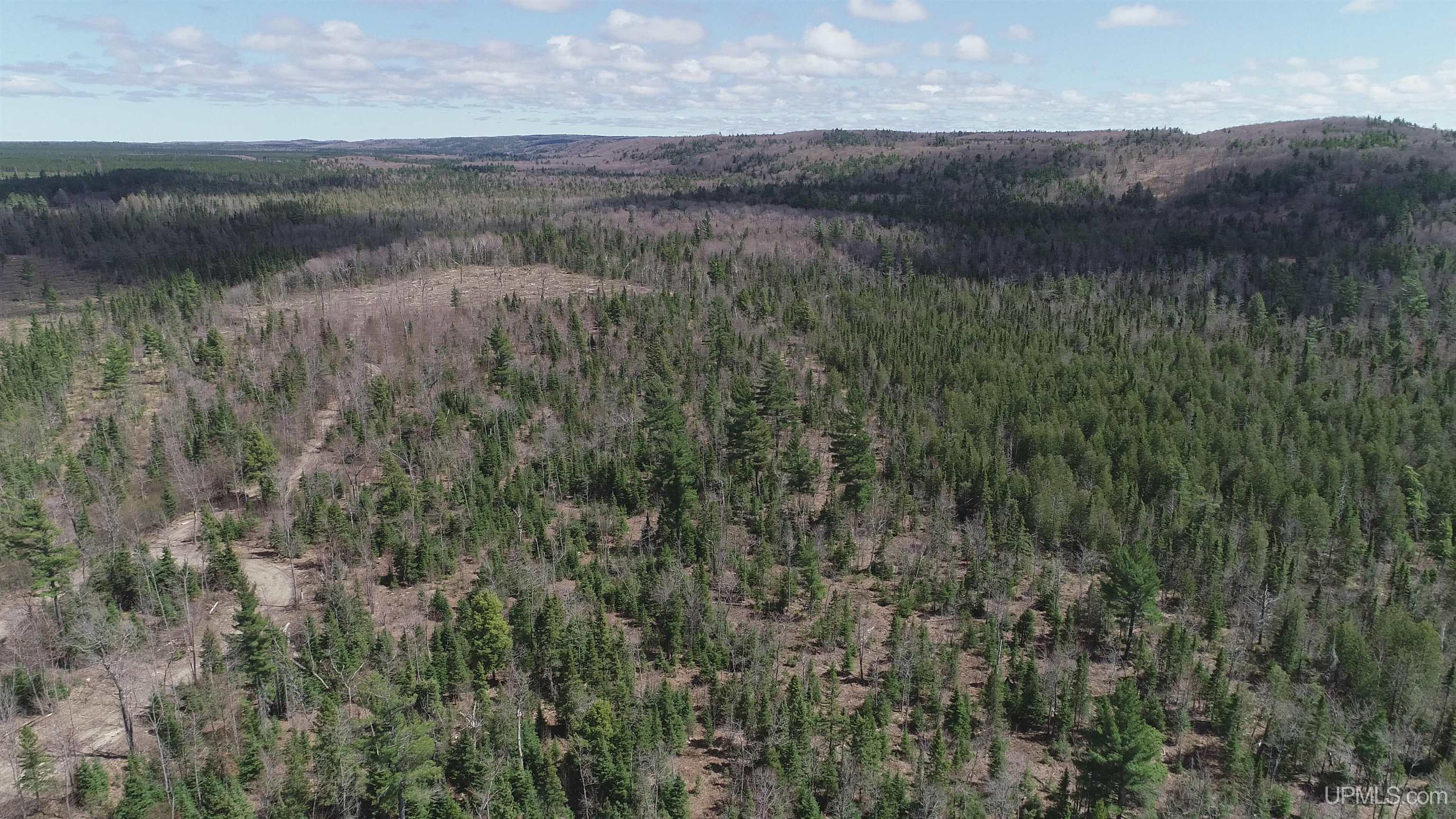 440 Acres Off Cr Aaa Road Property Photo 13