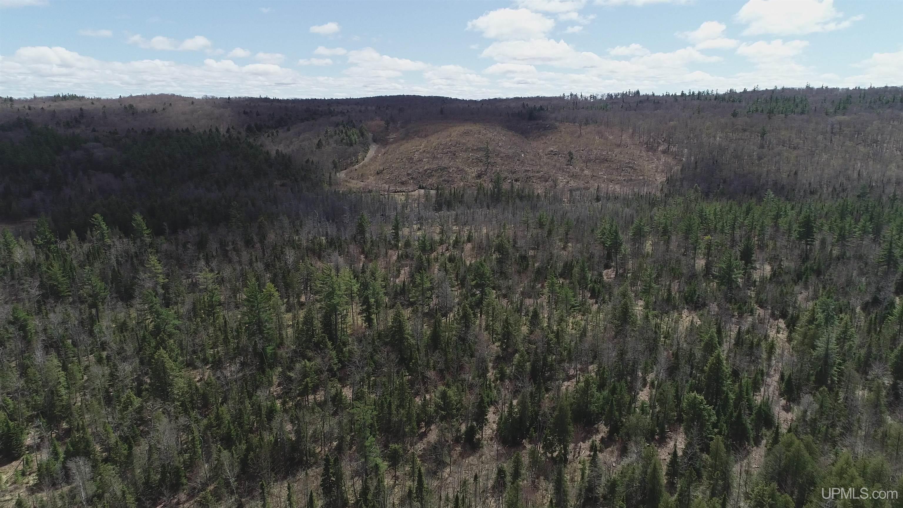 440 Acres Off Cr Aaa Road Property Photo 14
