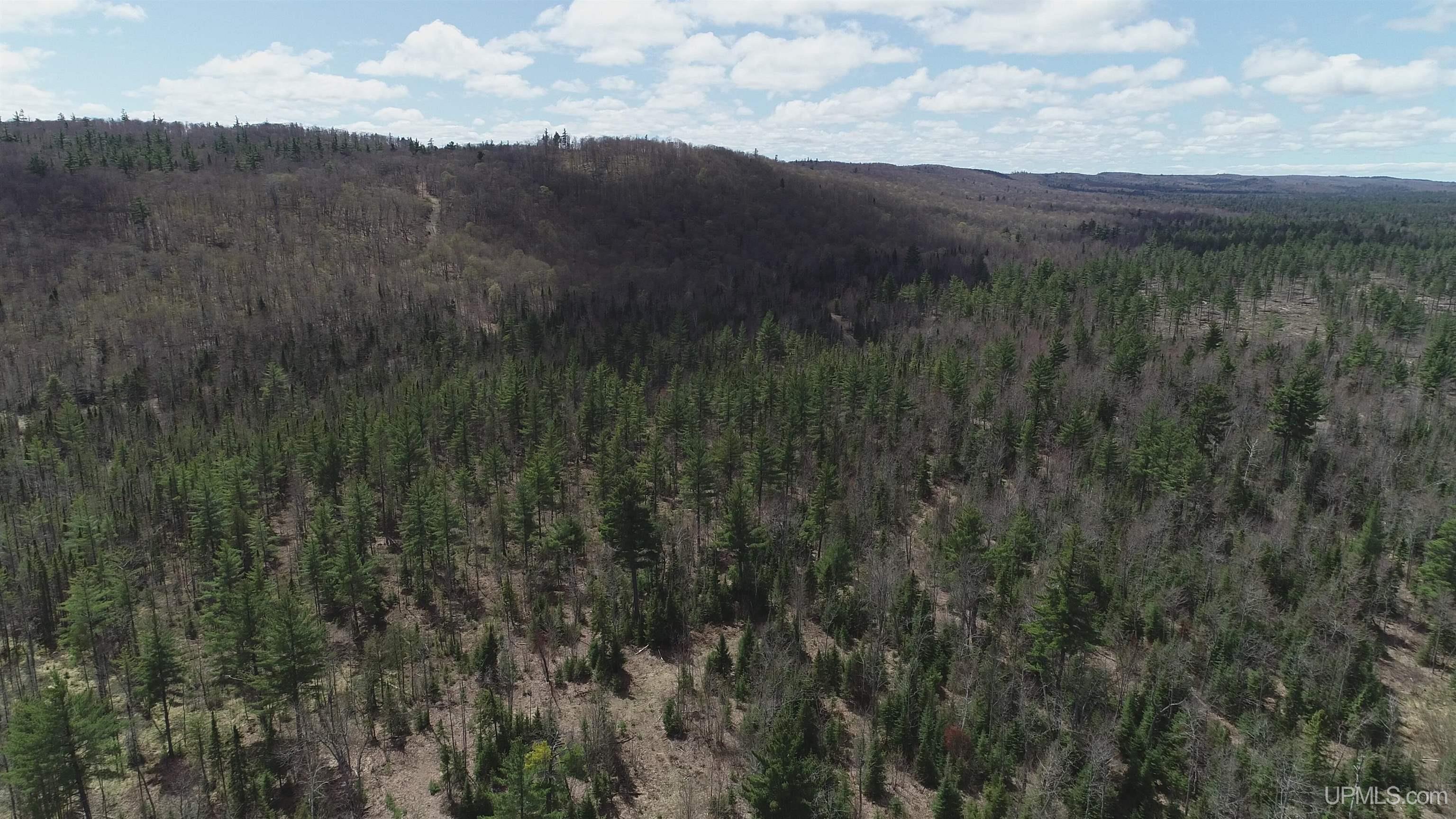 440 Acres Off Cr Aaa Road Property Photo 15