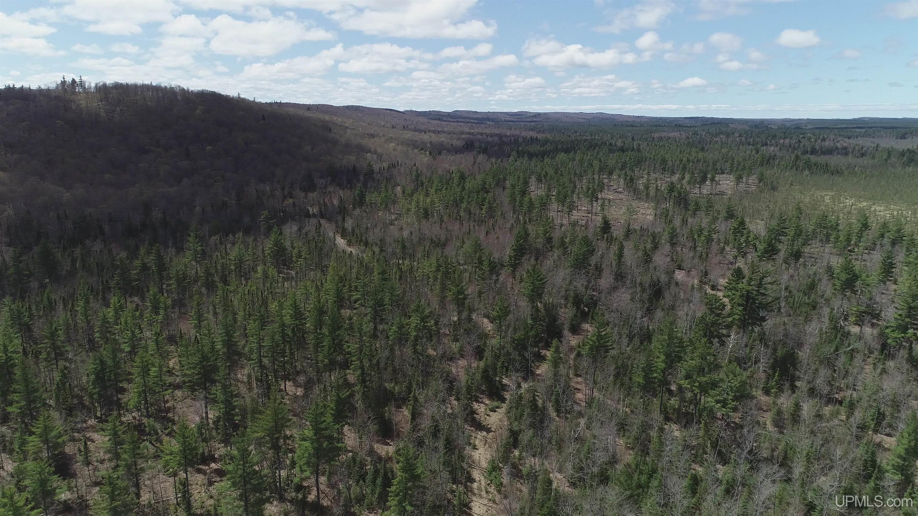 440 Acres Off Cr Aaa Road Property Photo 16