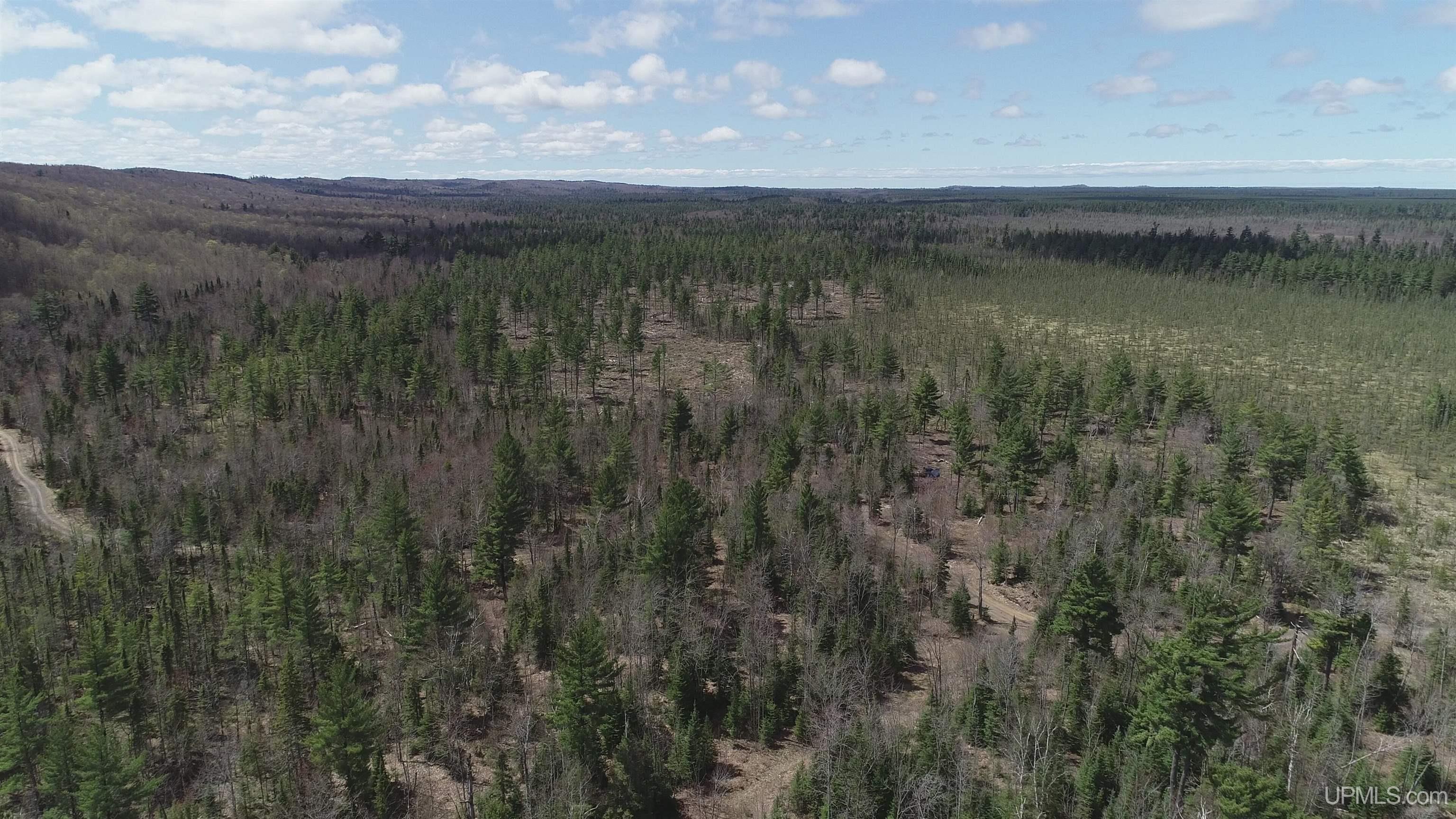 440 Acres Off Cr Aaa Road Property Photo 17