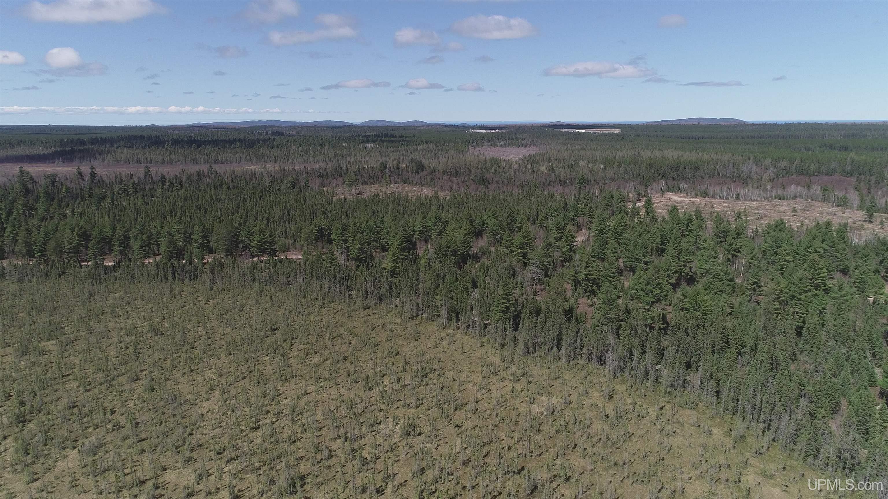 440 Acres Off Cr Aaa Road Property Photo 18