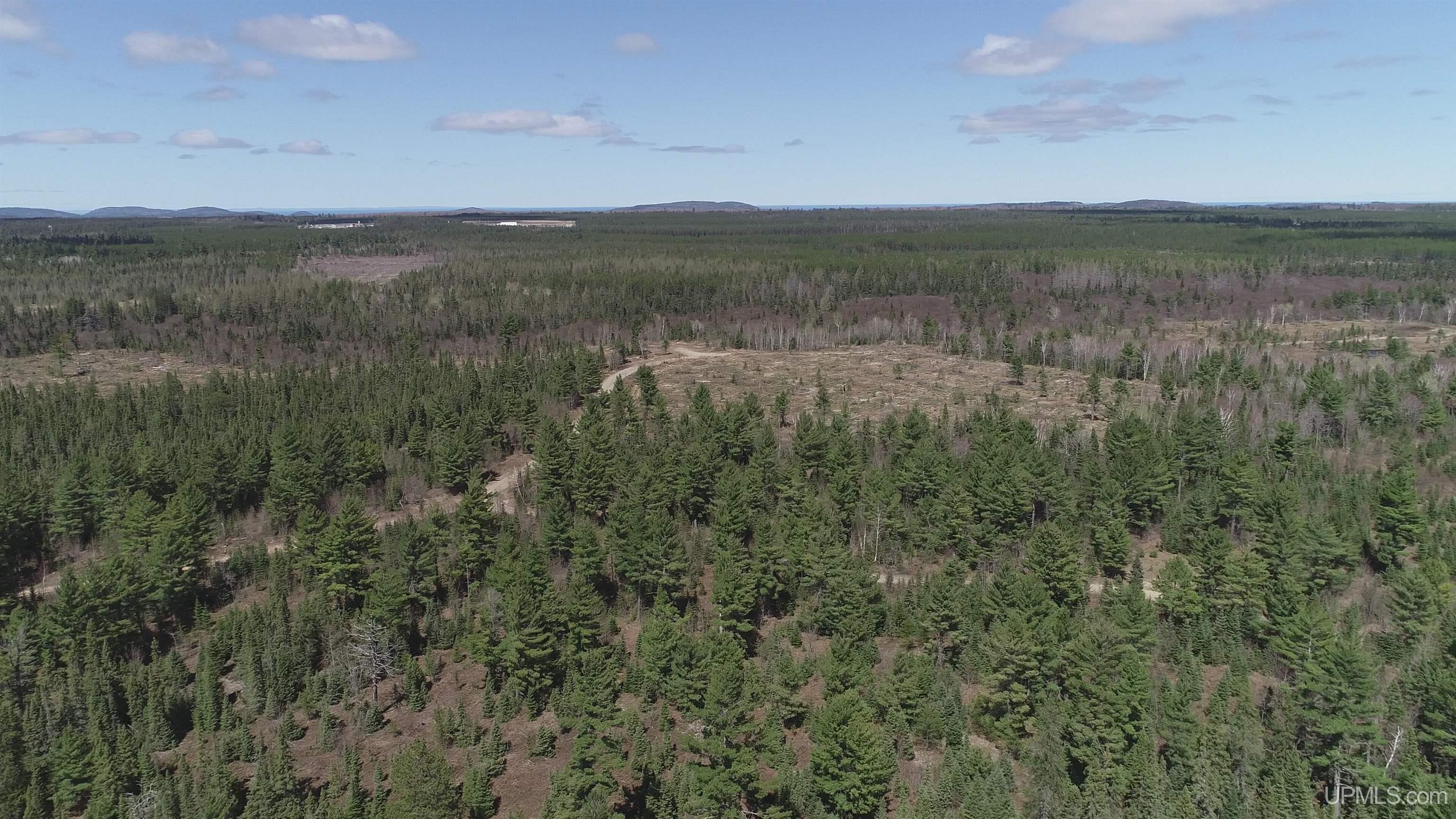 440 Acres Off Cr Aaa Road Property Photo 19