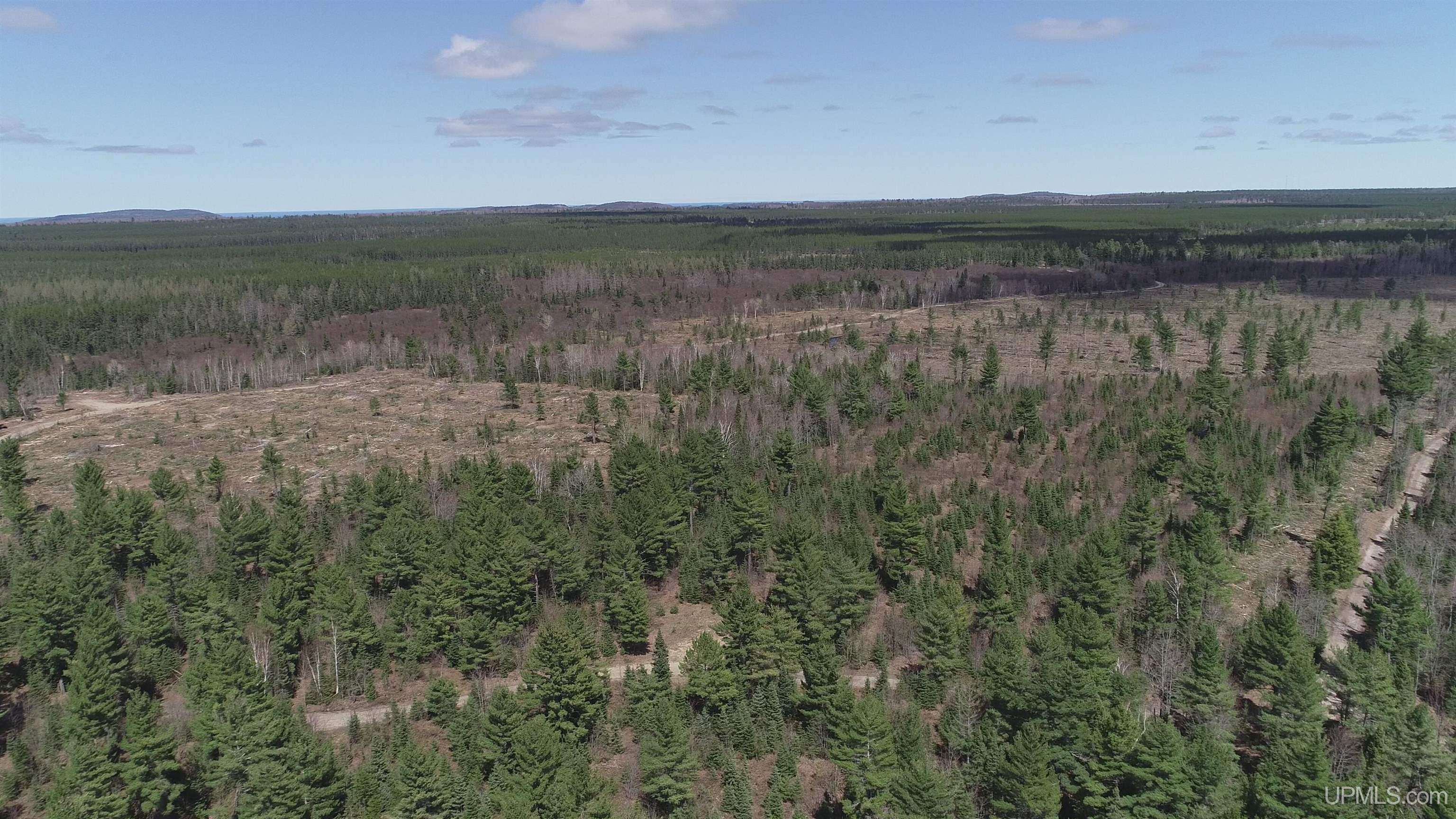 440 Acres Off Cr Aaa Road Property Photo 20