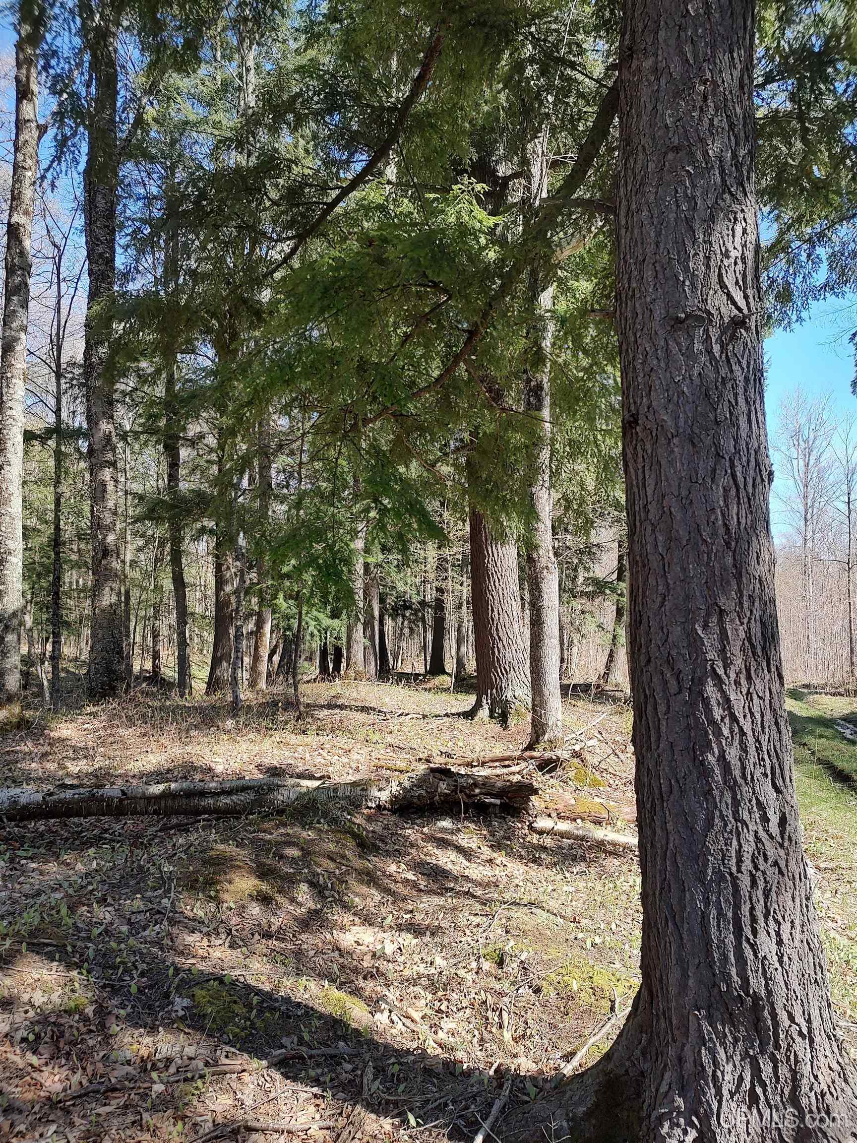 Tbd N Firesteel Road Property Photo 1