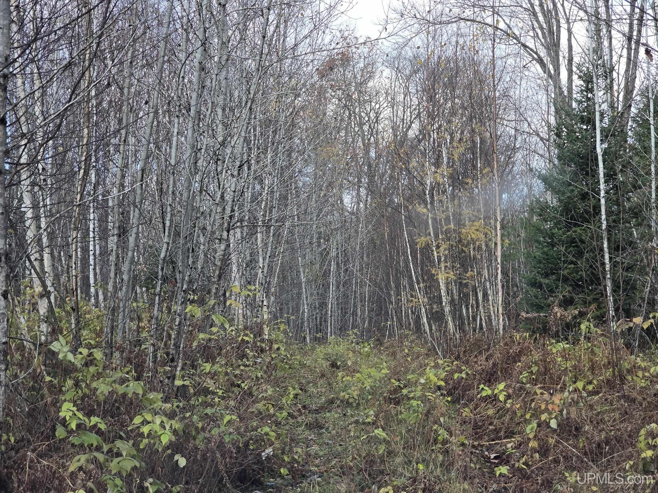 Tbd Fence River Road Property Photo 1