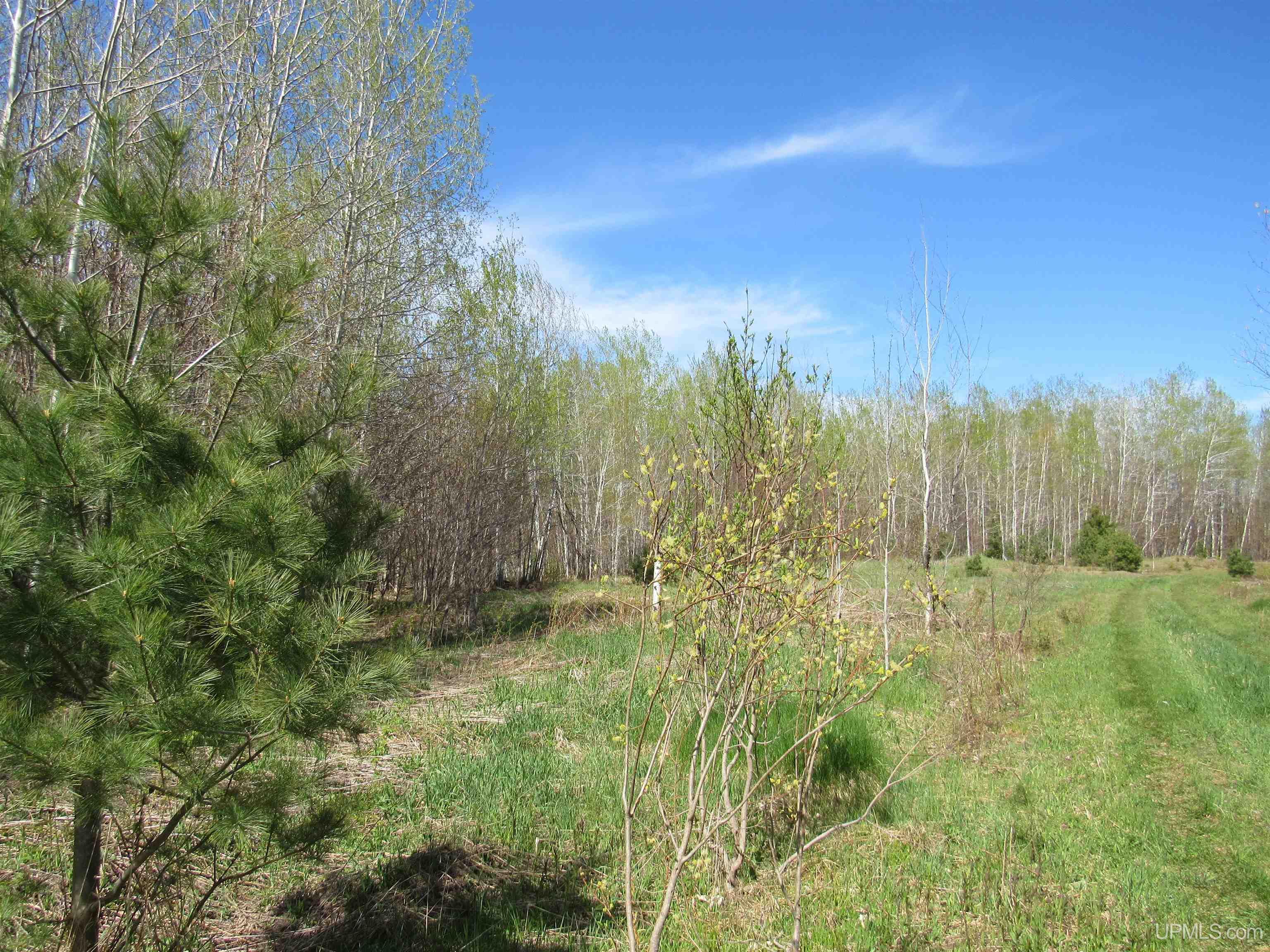 Tbd Off Rice Lake Road Property Photo 1