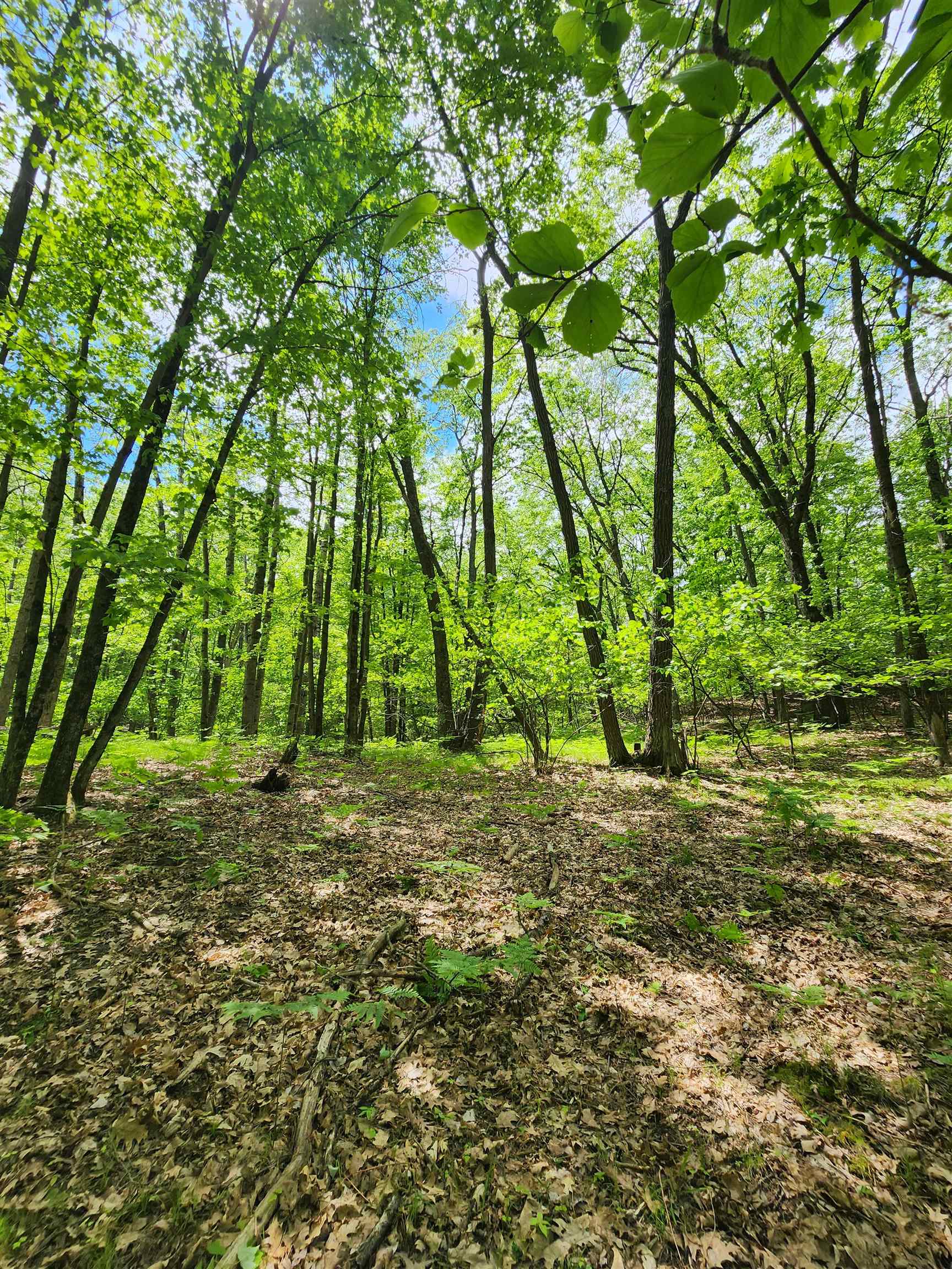 Lot 827 Hemlock Lane Property Photo 1