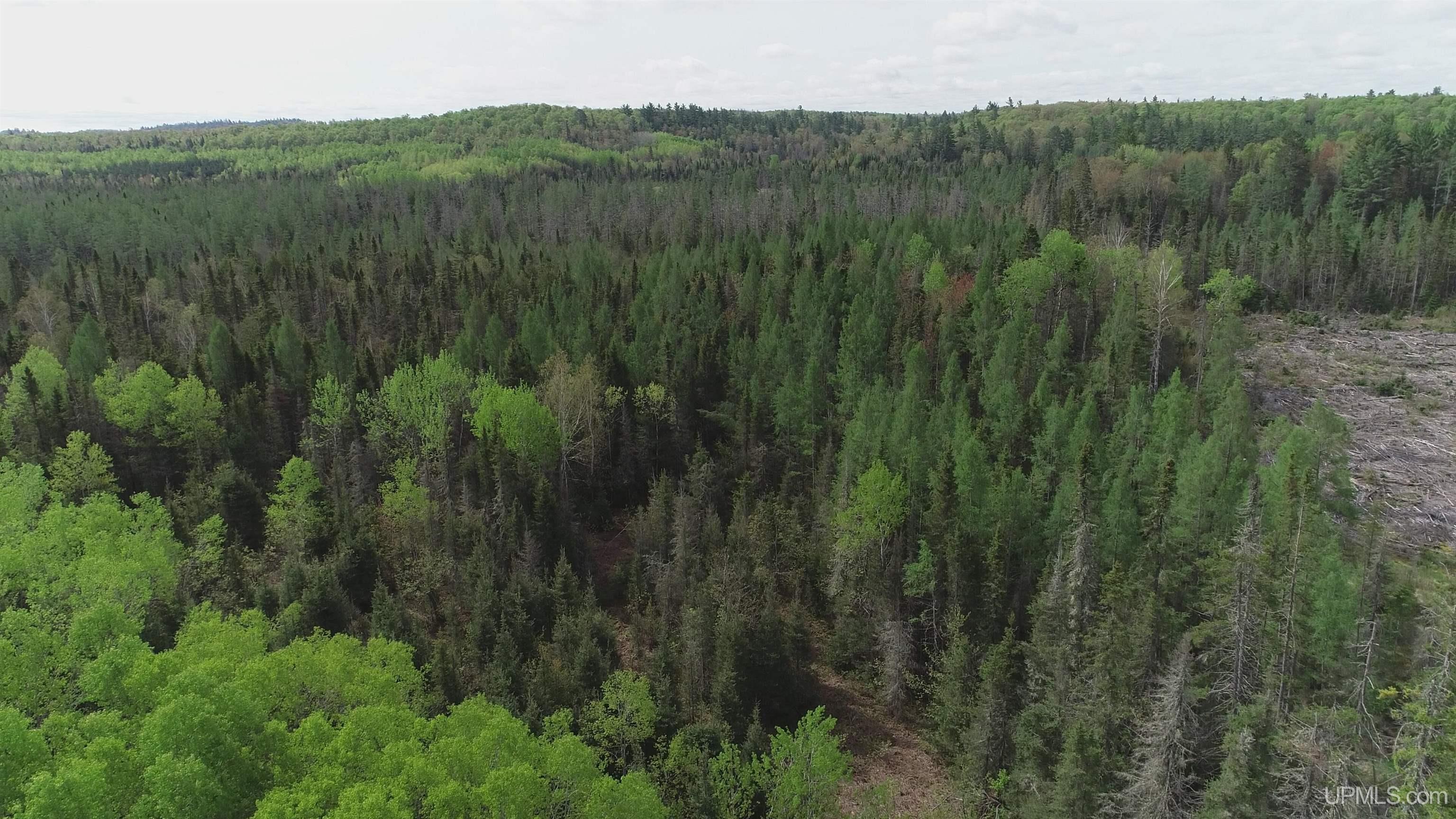 280 Acres County Road Ccn Road Property Photo 1